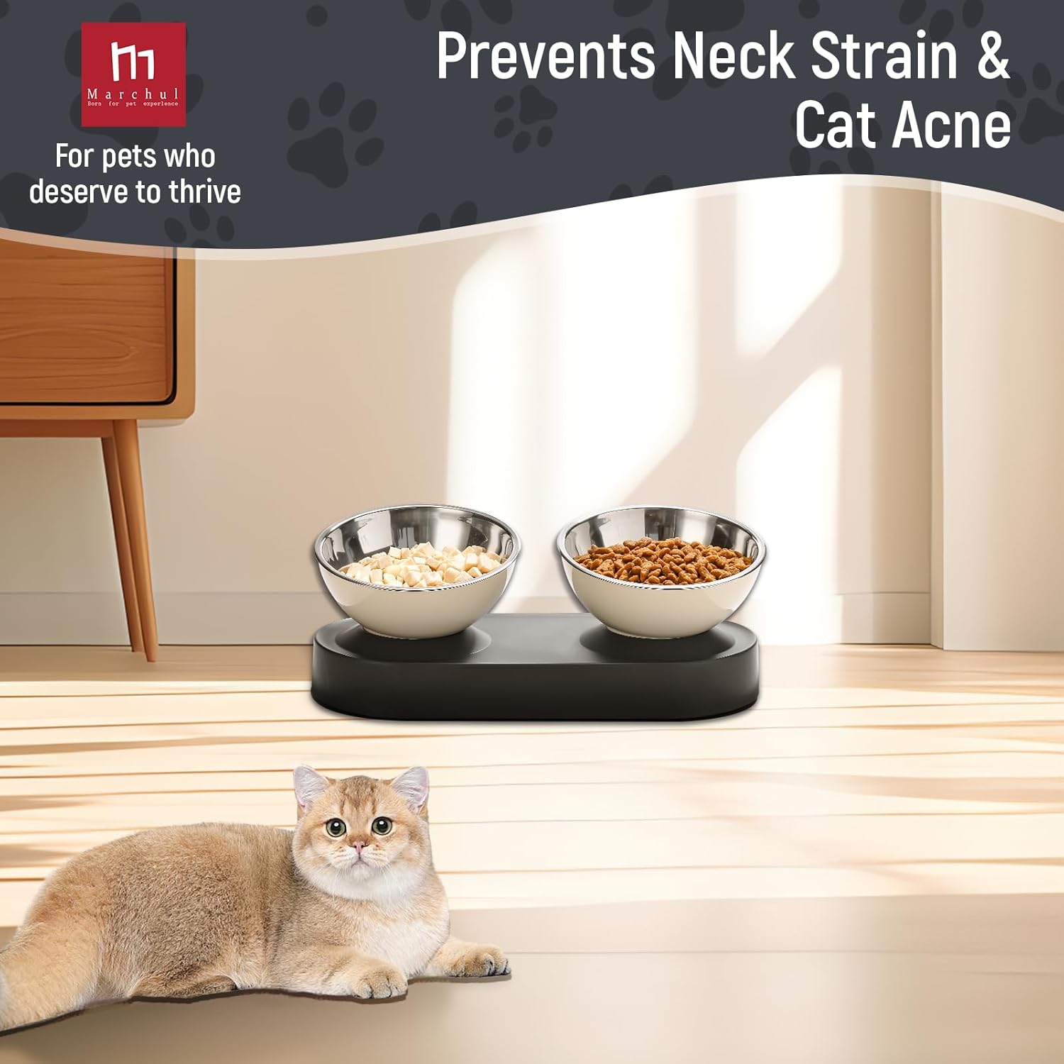 Marchul Stainless Steel Elevated Dog Food Bowls Set with Spill Proof Dish Mat, Raised Tilted Cat Bowl for Healthy Digestion, 1-Second Detachable & Dishwasher Safe image number 6