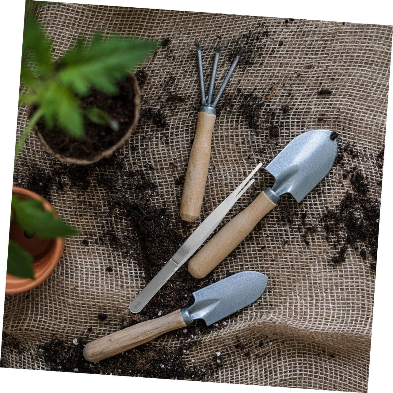 OFFSCH 10Pcs Garden Tweezers for Gardening and Bonsai, 18Cm Thickened Long Straight Tip Planting Tool with Teeth, Multi-Use Portable Craft Tweezer for Gardeners and Plant Care image number 3