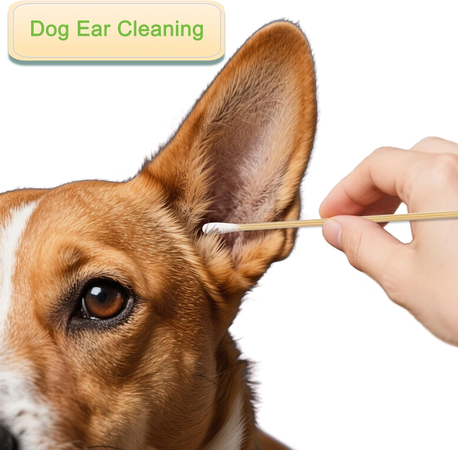 Iebeauty Cotton Swabs Swab Applicator Q-Tip 100 Pieces 15Cm Extra Long Wood Handle Sturdy image number 1