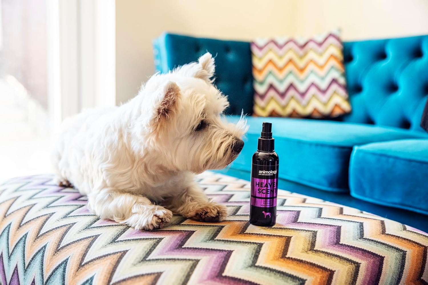 Animology Heaven Scent Body Mist, 150 Ml image number 2