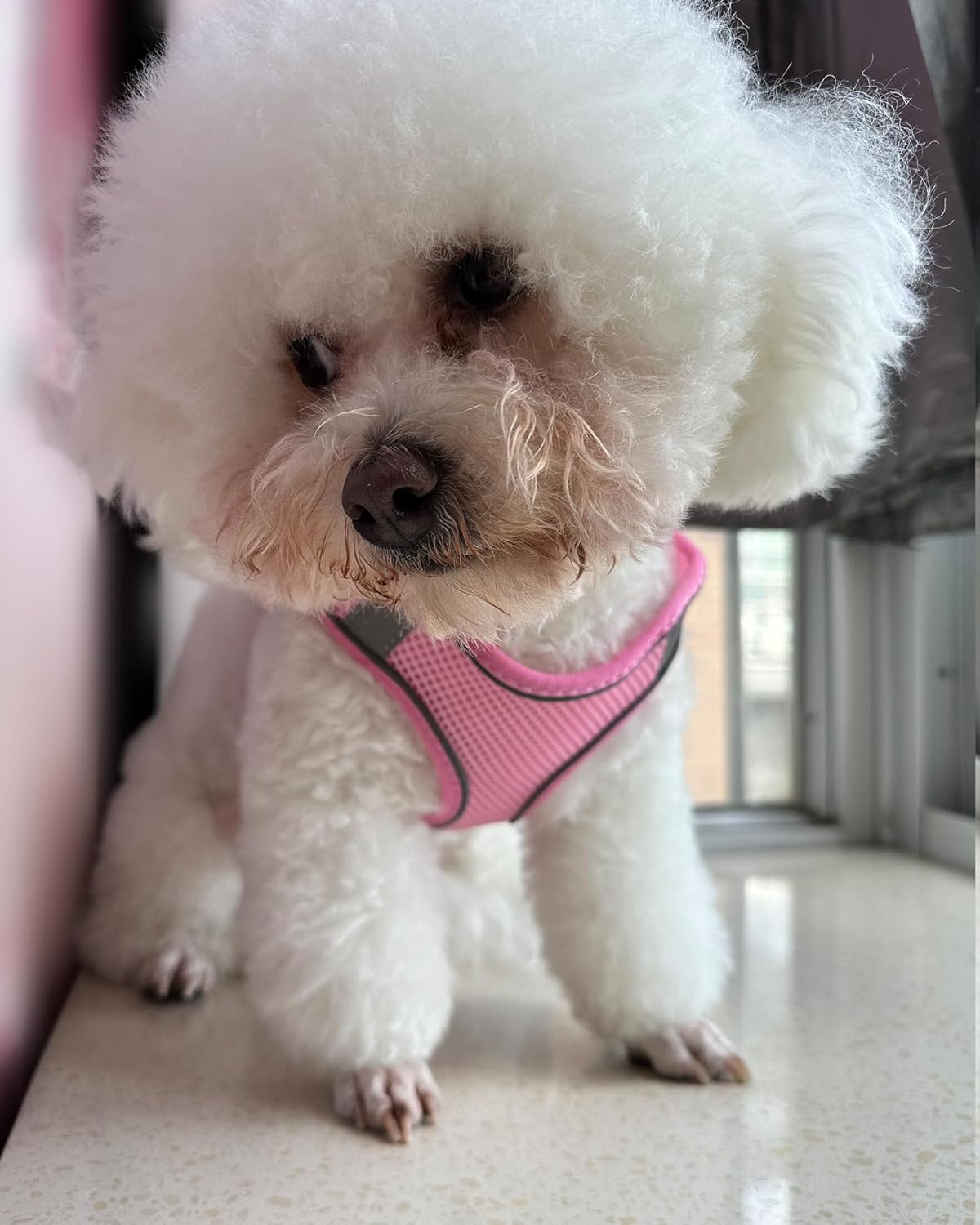 SOLMOONY Dog Harness for Small Medium Dogs No Pull, Puppy Harness and Leash Set, Step-In, Mesh, Reflective, Pink, S image number 1