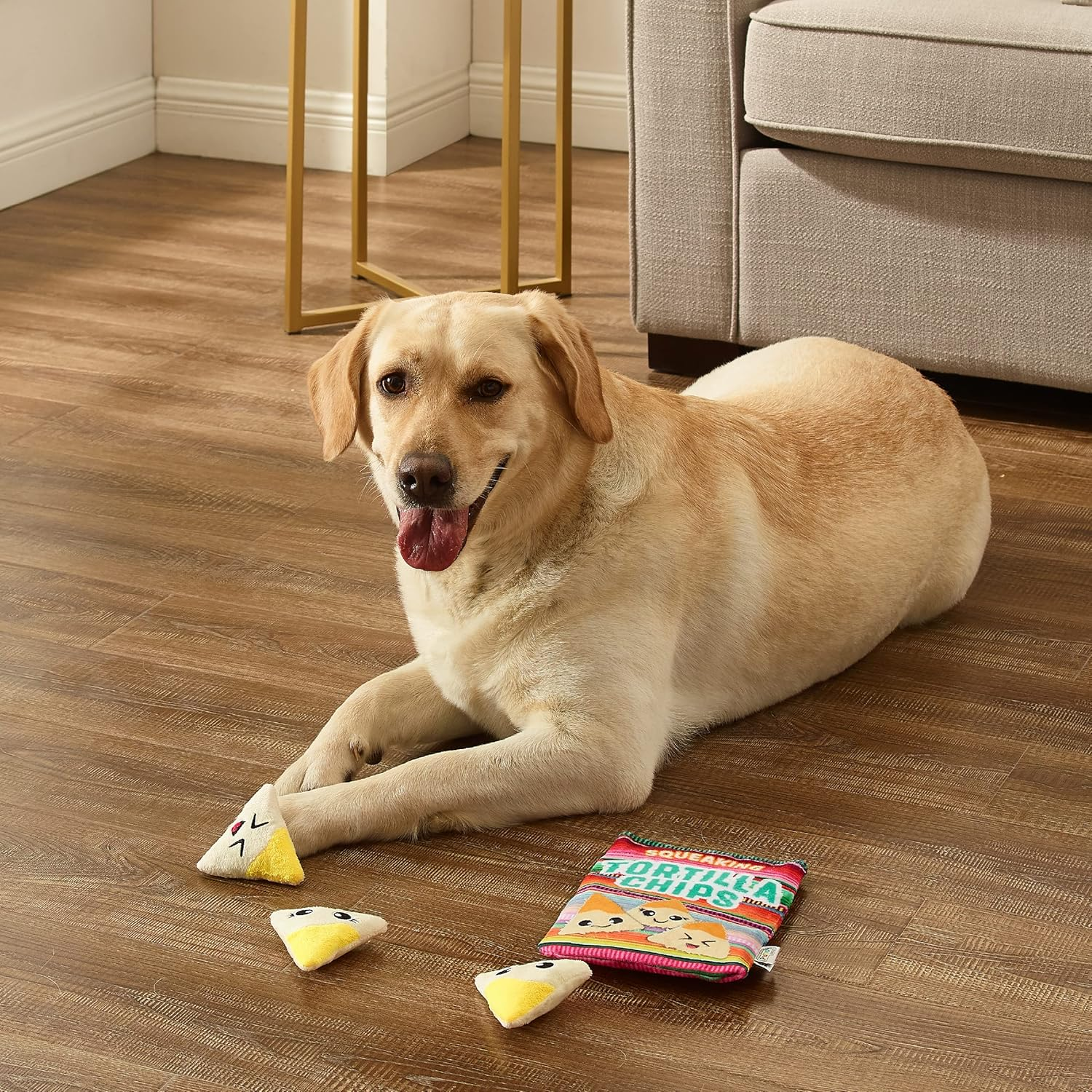 Outward Hound Snack Bag Tortilla Chips Puzzle Squeaky Dog Toys image number 5