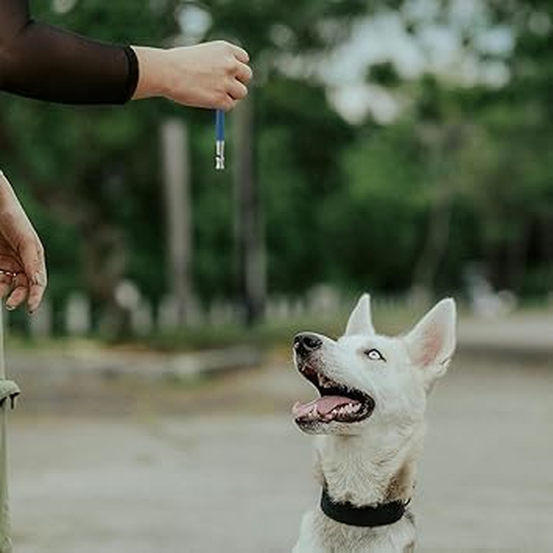 Dog Whistle, Dog Whistle to Stop Barking Neighbors Dog Adjustable Ultrasonic Dog Whistle for Dog Training image number 5