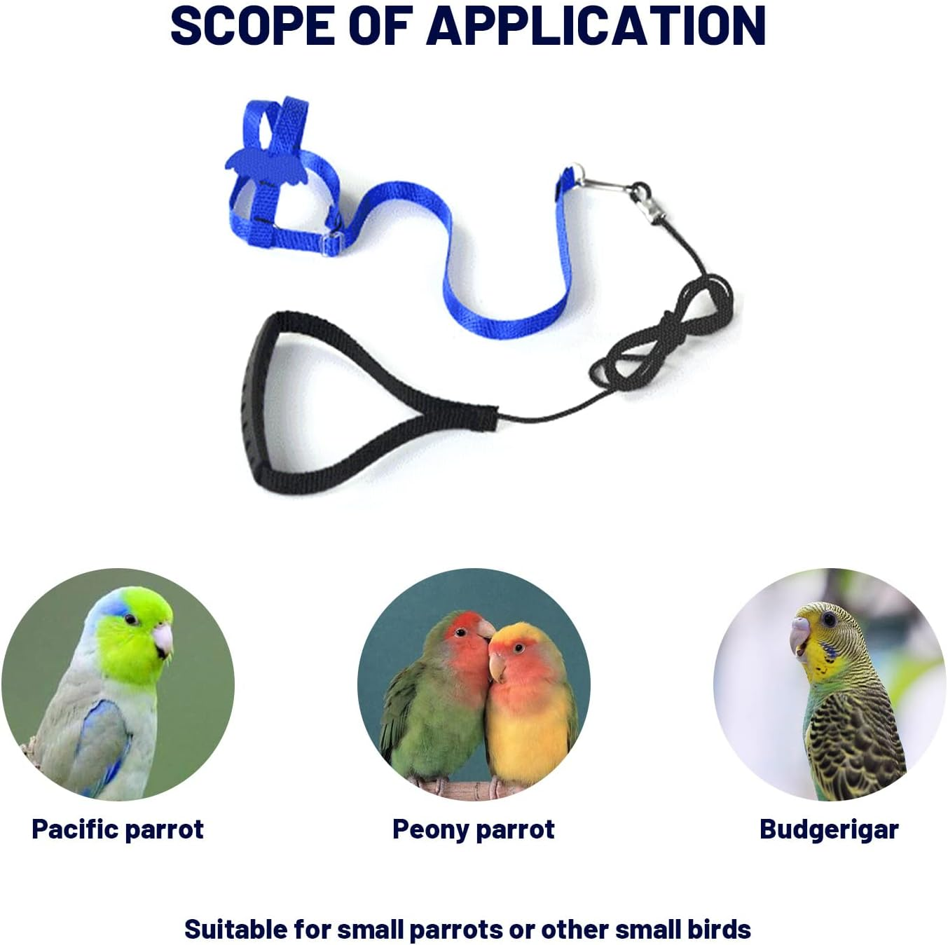 2 Metre Long Adjustable Parrot Training Rope, Bird Harness for Outdoor Activities, Elastic Strap Training Rope, with 1 Bird Foot Ring. image number 4