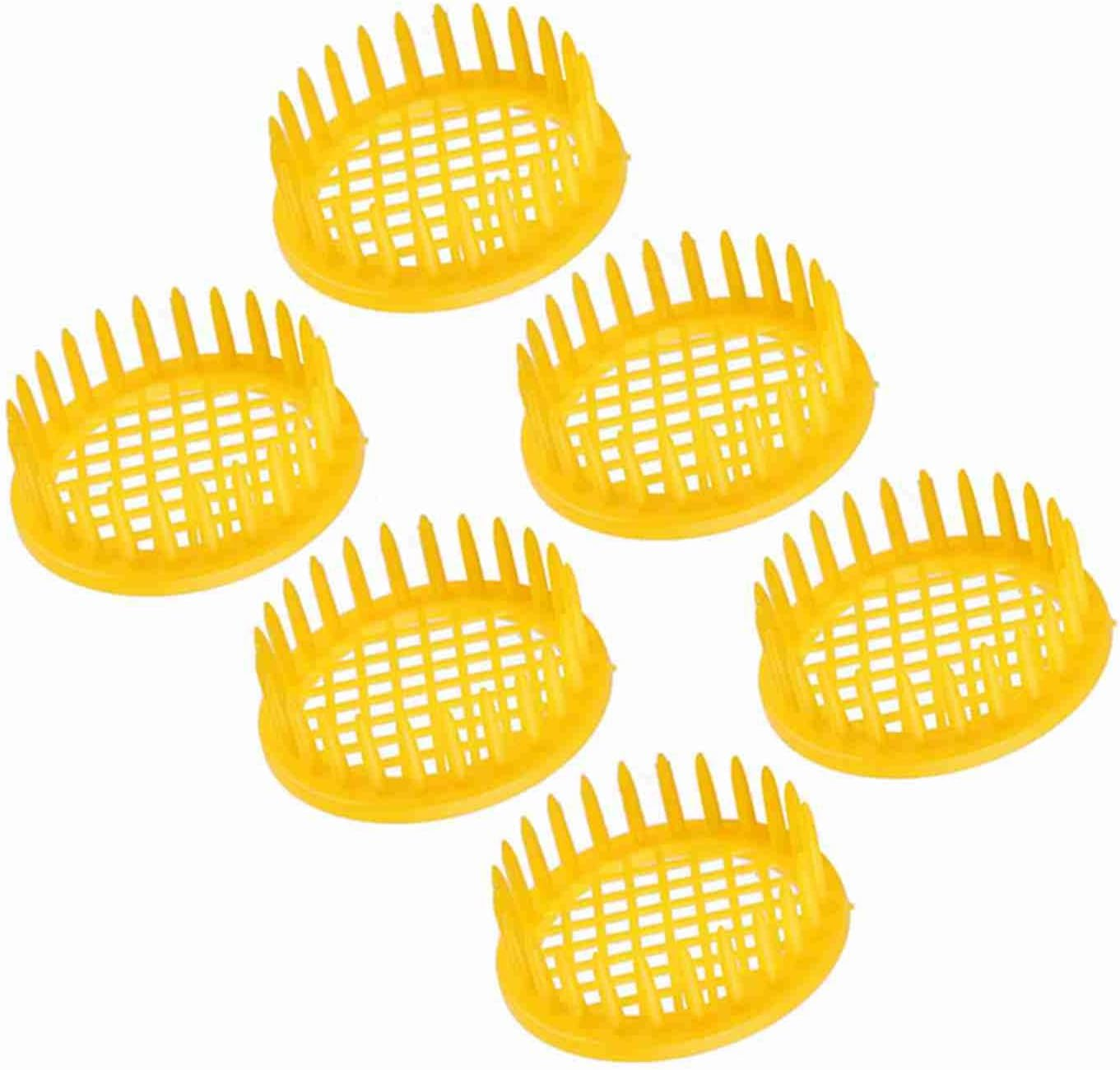 Bee Rearing Box Cell Beekeeping Equipment - 6 Pcs Bee Rearing Box, Beekeeping Tools for Isolation image number 2