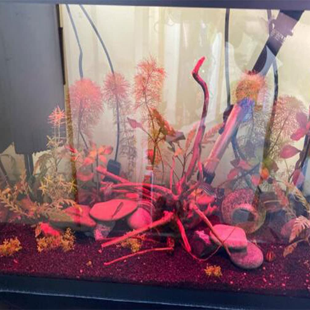 Emours Natural Aquarium Driftwood Tropical Fish Plant Habitat Decor Vary Sizes, 2 Pcs Set (Medium) image number 5