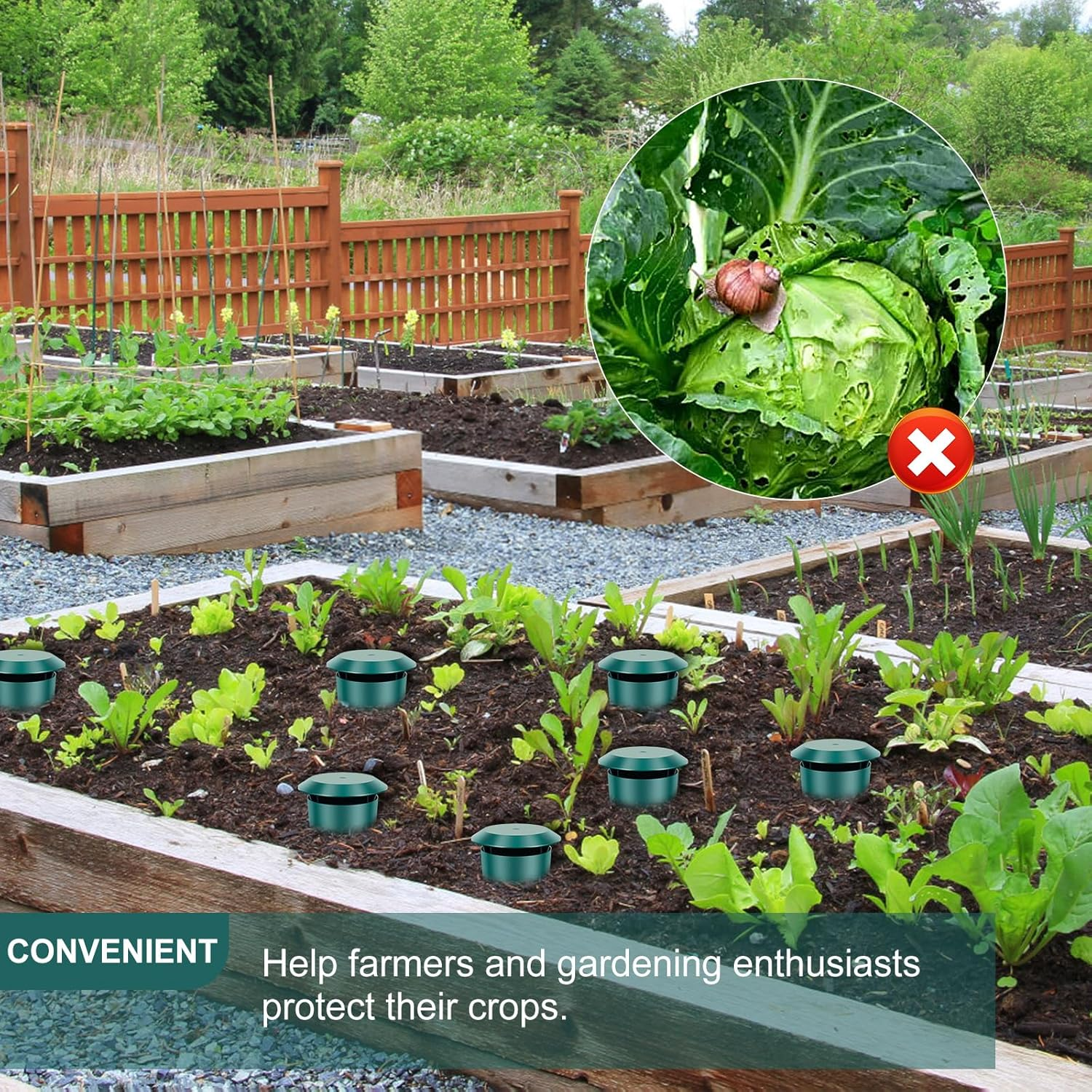 Beer Slug Snail Traps Kit, Portable Easy to Use Catching Slug House, Versatile Safe Plastic Snail Trapper, Growing Protection, for Snails and Slugs Snails Catcher image number 1