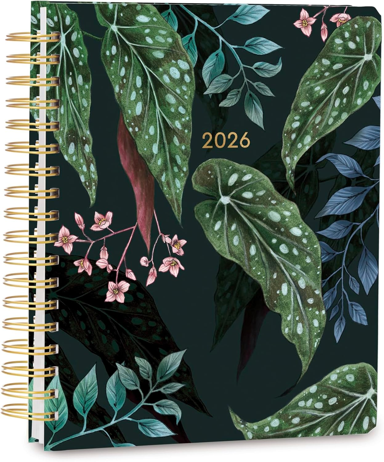 High Note 2026 Planner, 17-Month Weekly & Monthly Hardcover Planner by La Scarlatte: August 2025 to December 2026, 9" X 10" - Greenery - Fruits image number 6