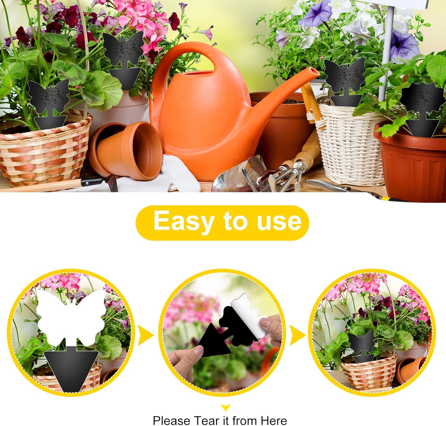 Fruit Fly Traps, 60 Pack Black Sticky Traps, Fungus Gnat Traps, Plant Fly Stickers for Indoor and Outdoor Use Protect the Plant image number 3