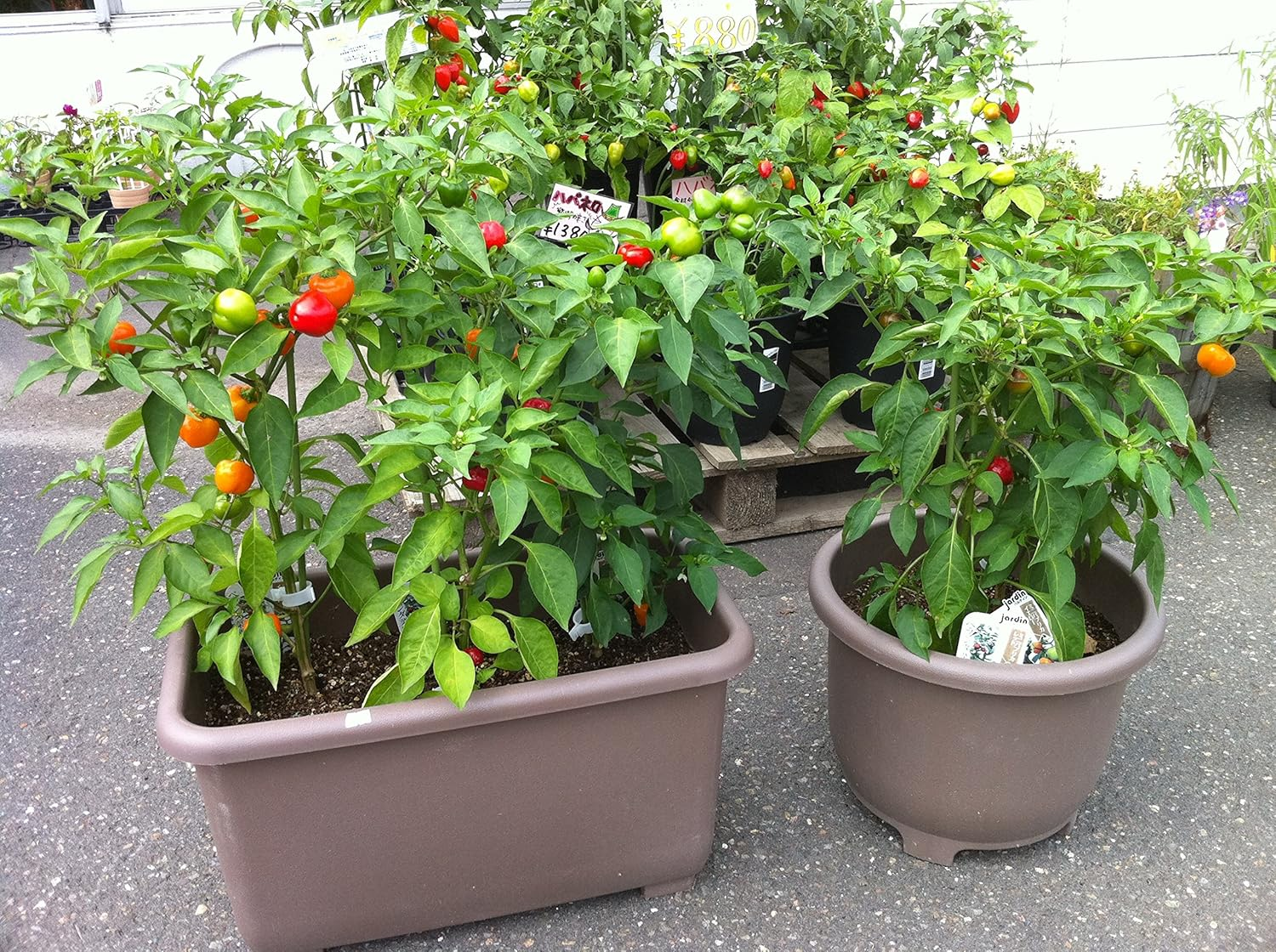 Yamato Plastic Eco & Eco Winplanter, Deep 45, 17.7 X 9.4 X 10.2 Inches (450 X 240 X 260 Mm), Eco Brown, Set of 3 image number 4