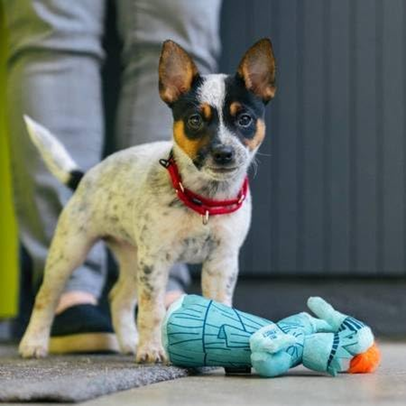 Dog Toy_Plush Toy - Lady Liberty_S image number 5