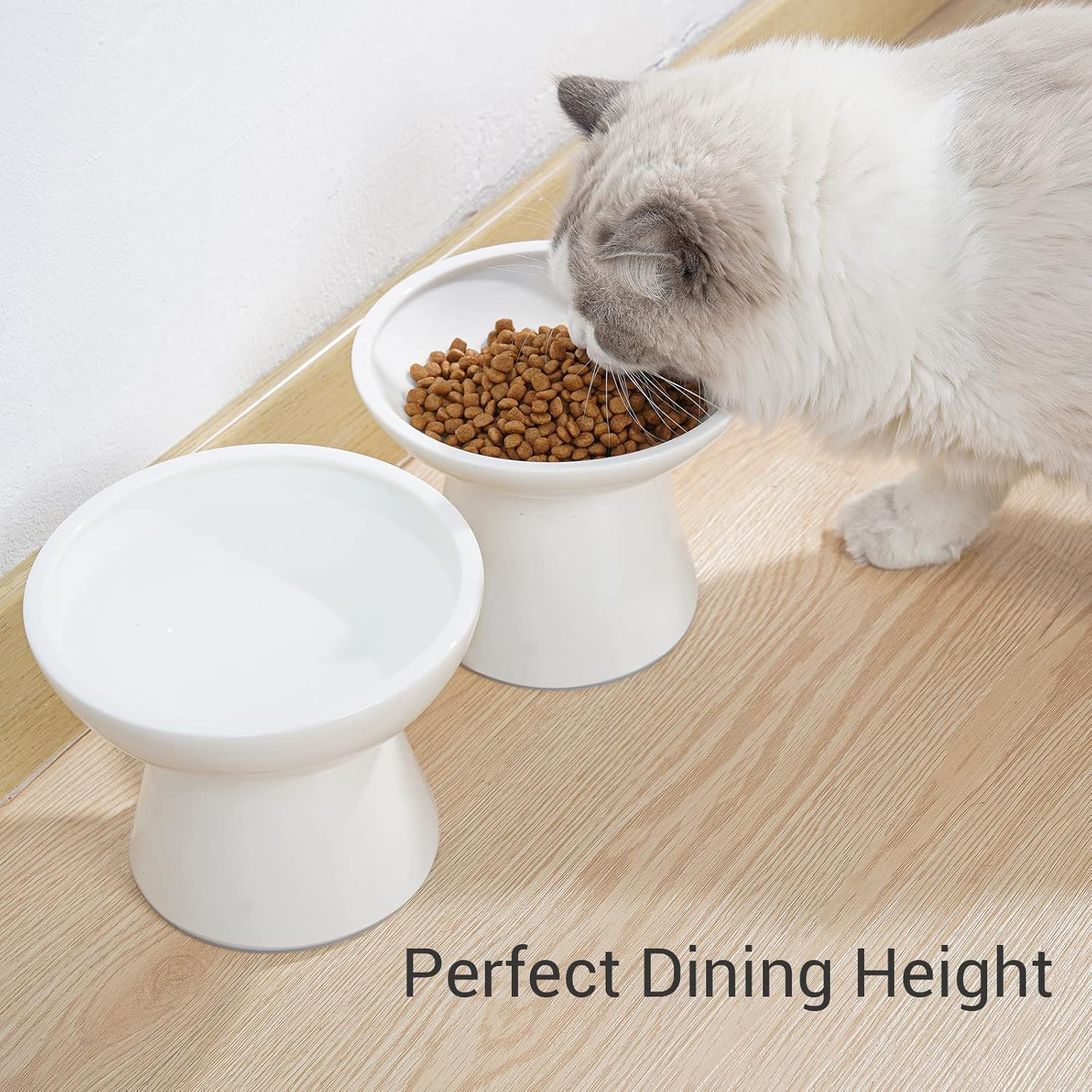 CEEFU Extra Wide, Raised Ceramic Cat Water Bowl, 6.2" Deeper Bowl for Whisker Relief, 5" Height for Easy Feeding, Lead and Cadmium Free, Durable, Raised