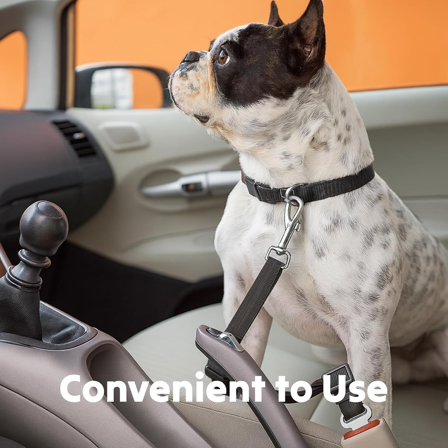 Adjustable 3 Pack Premium Dog Car Seat Belt, Heavy Duty Elastic Bungee Buffer Harness, Ensures Safety and Comfort for Dogs in Vehicles, Durable Nylon Fabric with Zinc Alloy Clips, Black image number 5