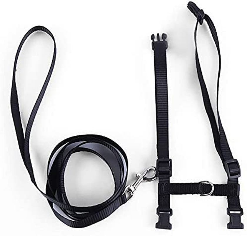 Cat Harness with Lead, Escape Proof Harness Soft Adjustable Nylon Leash Leash Set for Cat Kitten Small Pet Walking (Black) image number 3