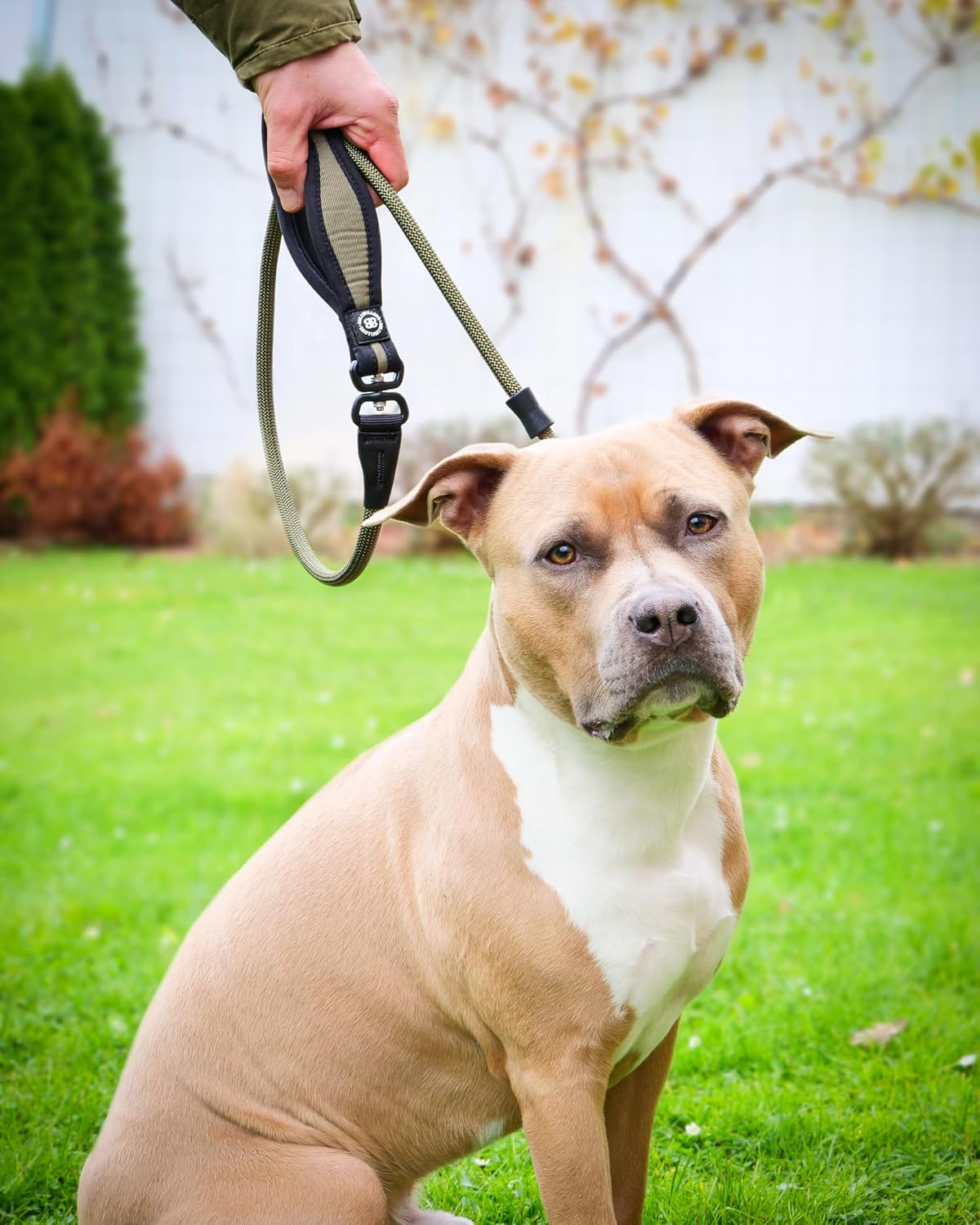 Bullybillows Anti-Pull Anti-Choking Training Dog Lead | 1.4M Active Light Dog Lead Designed with Graded Materials | Suitable for Strong Dogs | Suitable for All Dog Breeds | Khaki - Light Military Tan image number 4