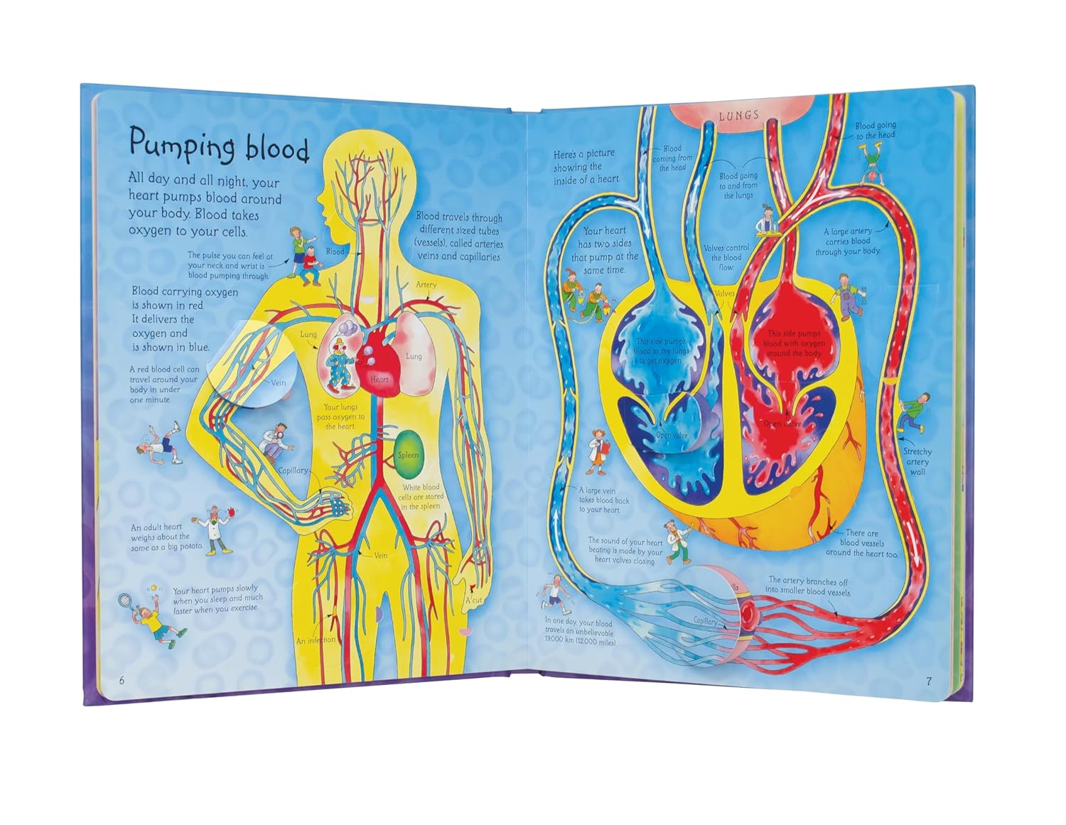 See inside Your Body image number 5