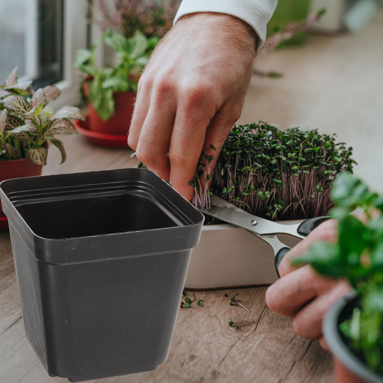 Balacoo 120 Pcs Square Seedling Nursery Pots, Plastic Flower Pots with Drainage Hole, 2.75 Inch Lightweight Garden Seedling Nursery Planters for Succulent, Flower, Herb, Hydroponic Plants (Black) image number 5