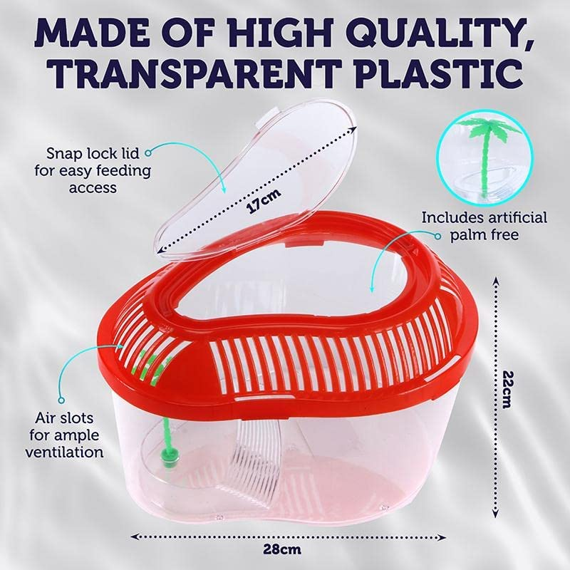 Plastic Fish Tank, 35 Cm Length image number 4