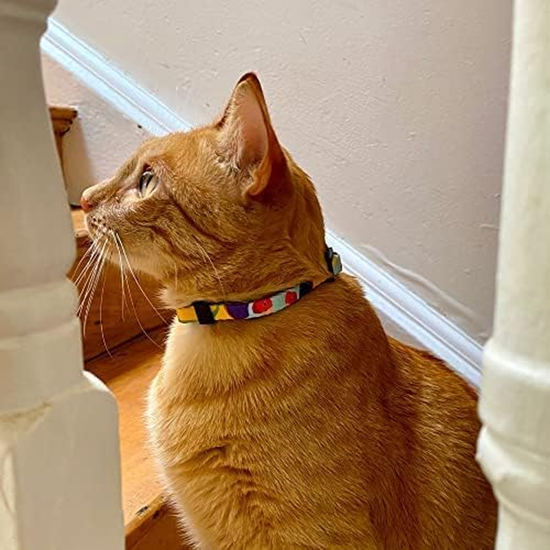 Anipal Gigi the Gouldian Finch Cat Harness & Lead - S - Environmental Friendly image number 2