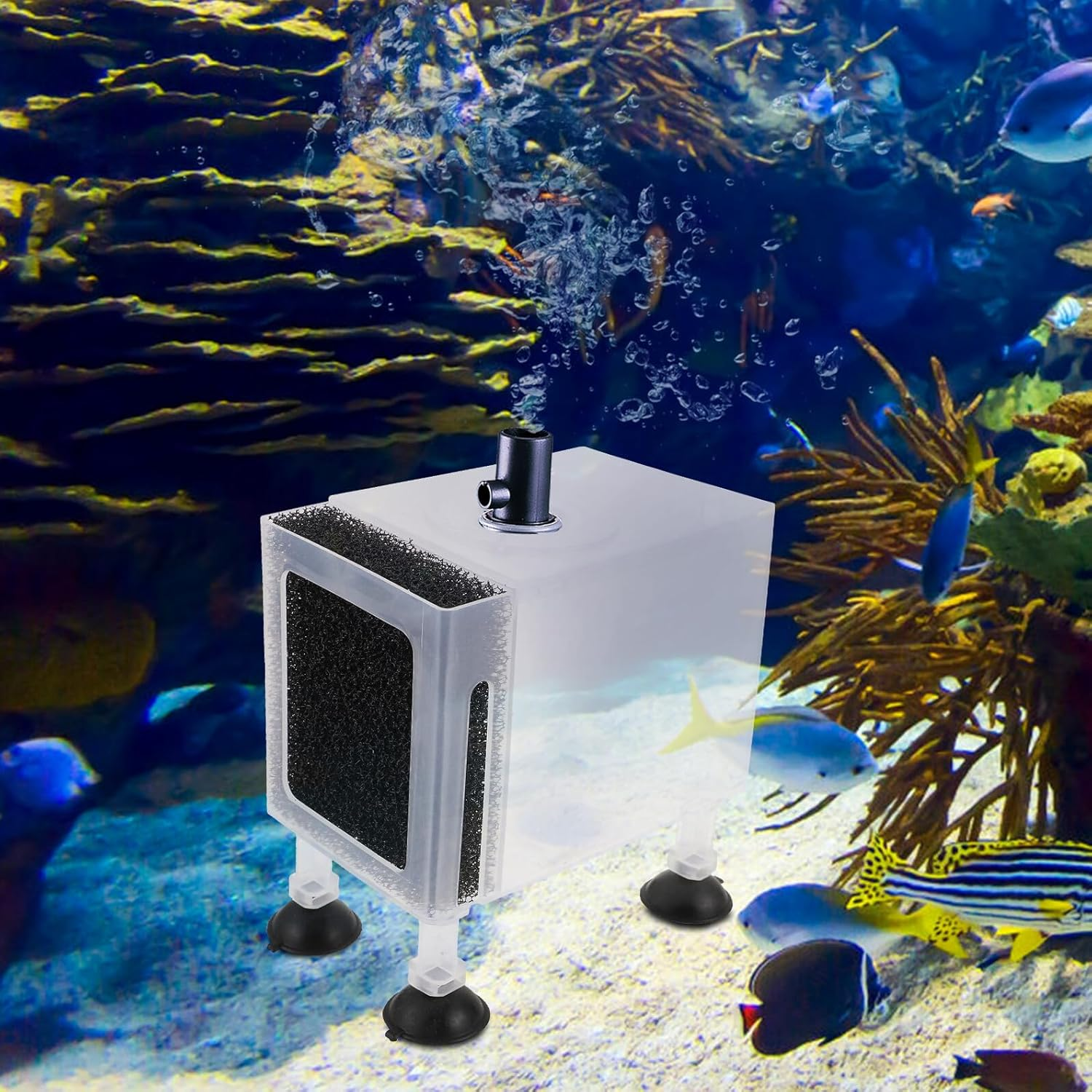 Veemoon Transparent Large Water Pump Case with Plastic Housing Wear-Resistant Protective Filter Box for Outdoor Aquarium Pump High Foot Support Suitable for Household and Submersible Use image number 1