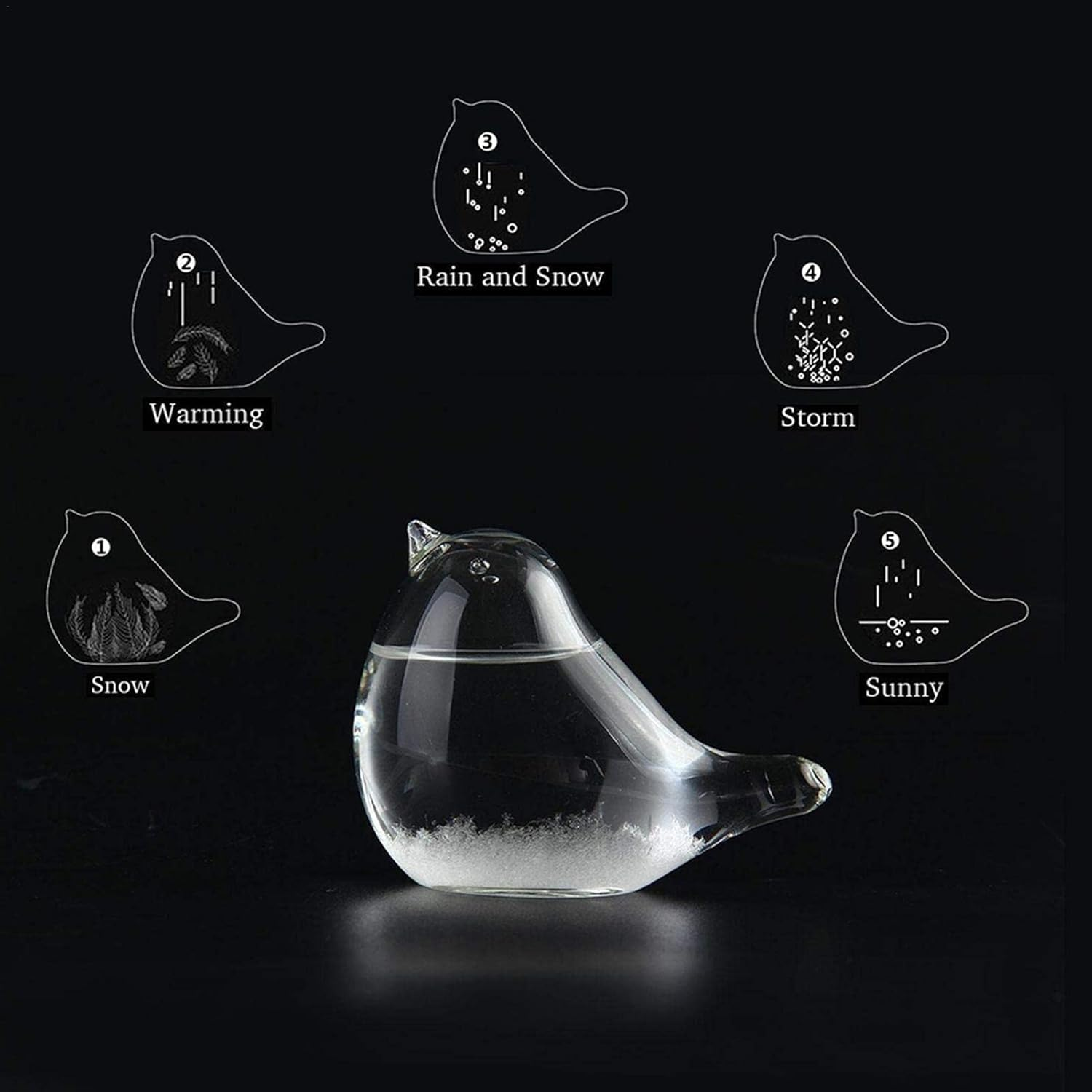 Storm Glass Weather Station | Craft Bird Shape Barometer Bottles Table Decoration - Weather Predicting Globe Storm Glass Cloud Forecaster for Home - A image number 5