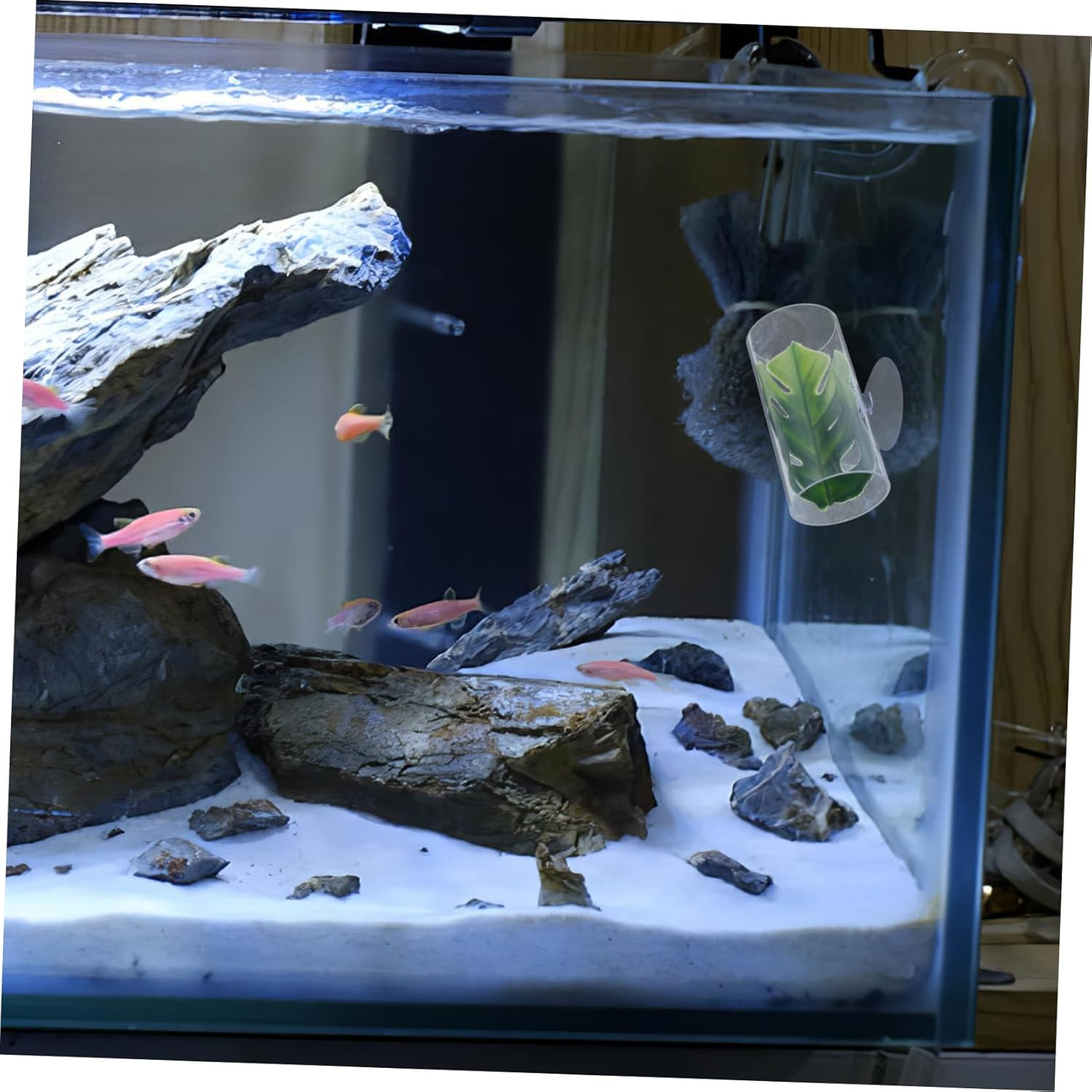 JUMPLAWN Betta Fish Tank Cave Multipurpose Aquarium Rock Cave for Freshwater Pets image number 6