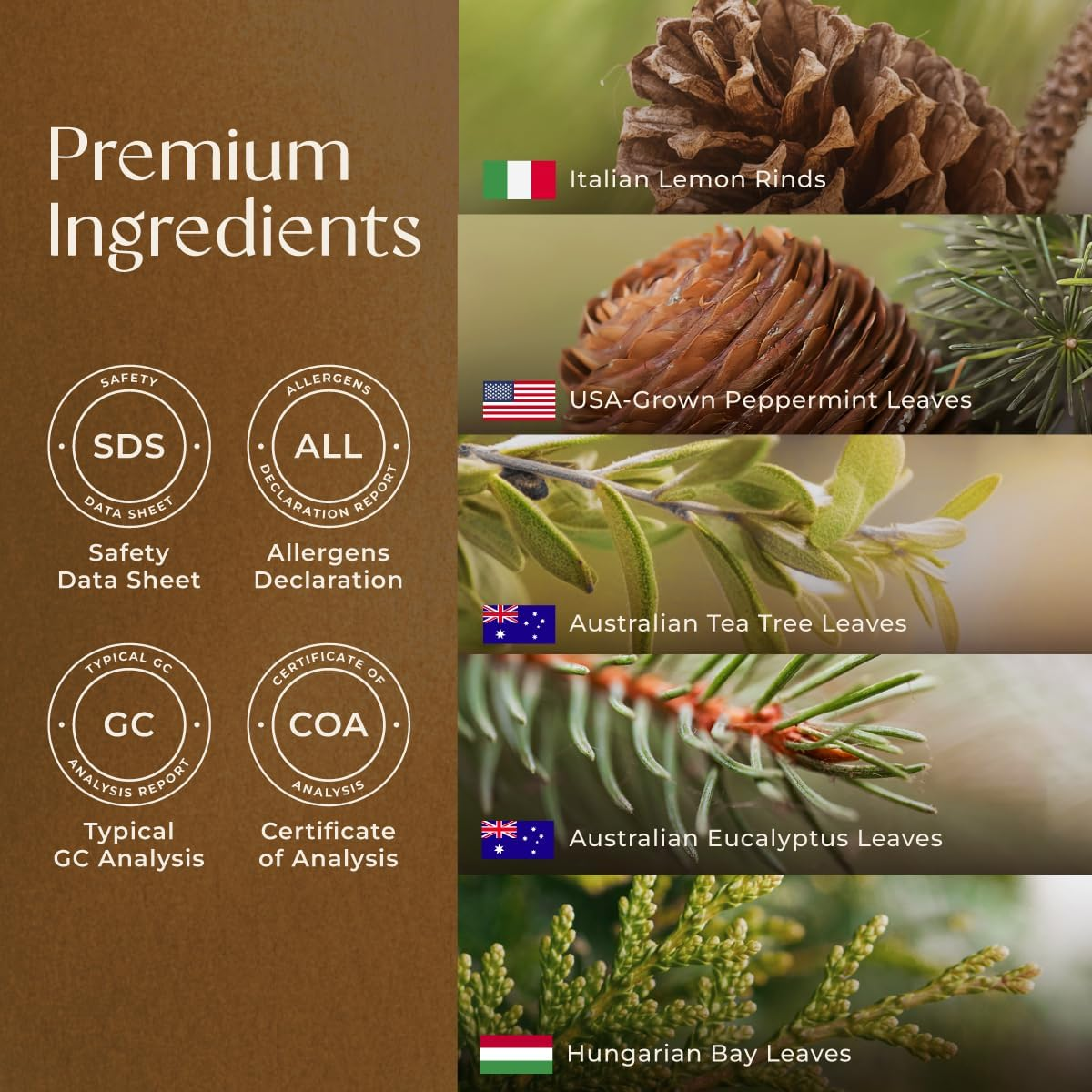 Gya Labs Breathe Essential Oil Blends - Natural Breathe Easy Essential Oils from Eucalyptus, Peppermint Oil and More for Humidifier Cleaner (10Ml) image number 4