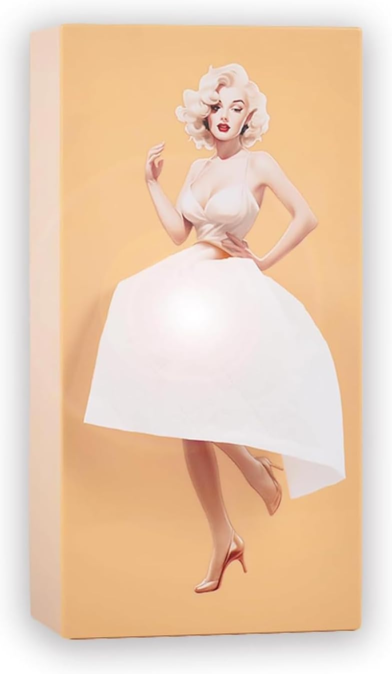 Creative Tissue Box Holder &ndash; Funny Lady Skirt Design, Vintage Dress Decorative Rectangular Tissue Box Cover for Office, Home, Living Room, Bedroom, and Bathroom (Beige) image number 3