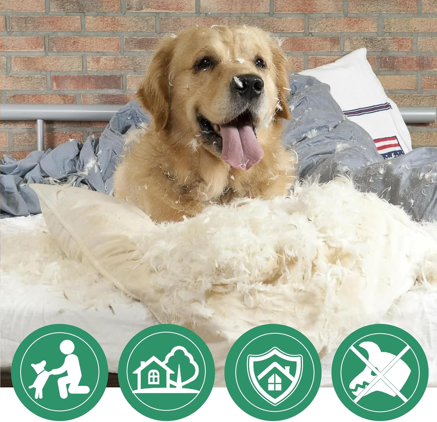 Anti Chew Spray for Dogs and Cats, Anti-Chew Spray, Anti-Nibble Spray, Bitter Spray for Dogs and Cats, anti Chew Spray for Dogs Puppies, anti Nibble Spray Training for Dogs Cats 30 Ml image number 6