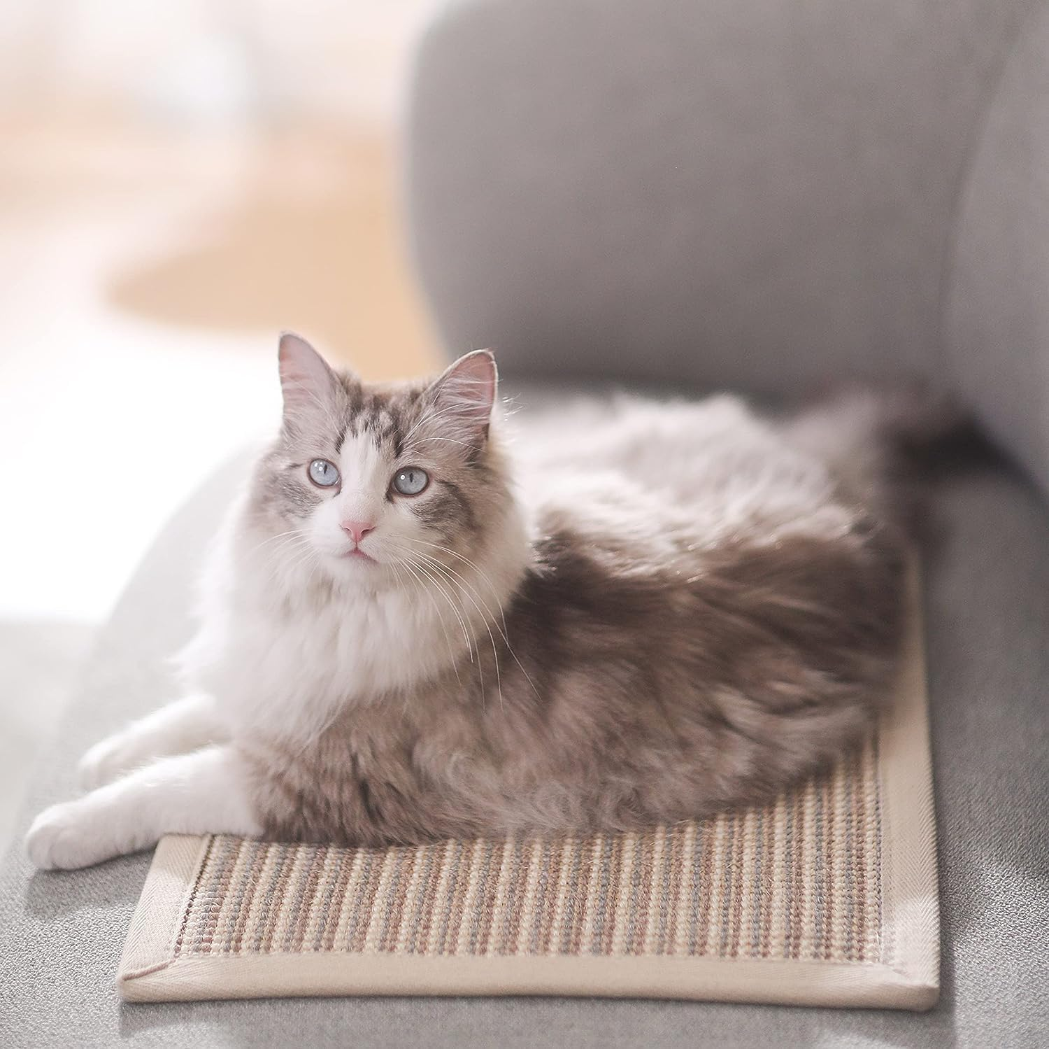 Cat Scratcher Mat, 40 X 60 CM Natural Sisal Cat Scratch Mats, Horizontal Cat Floor Scratching Pad Rug, Protect Carpets and Sofas image number 2