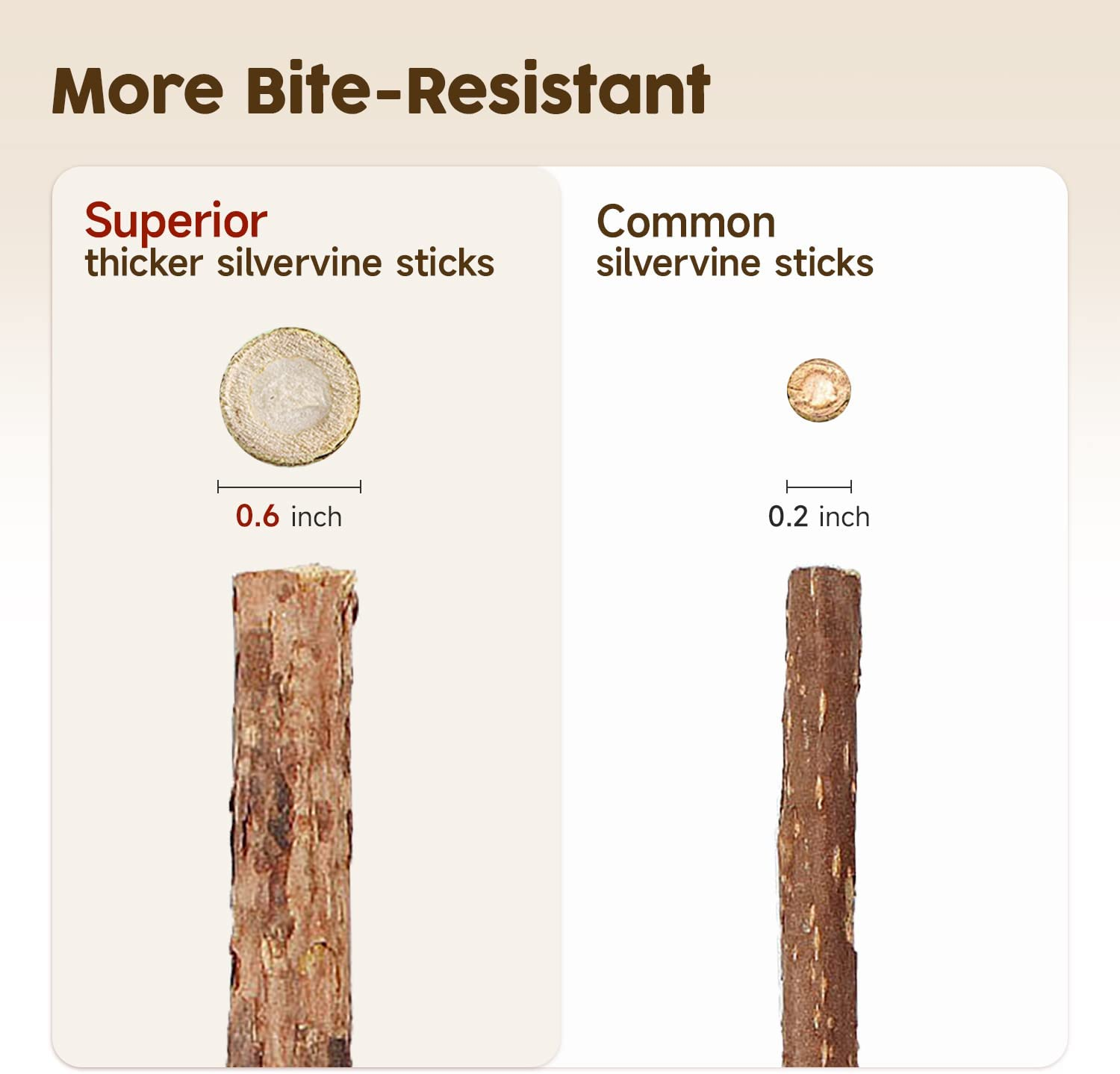 Potaroma 3 Pack Natural Silvervine Sticks Cat Toys, Catmint Silvervine Blend Sticks, Catnip Kittens Chew Toys Teeth Cleaning, Matatabi Dental Care Cat Treat Edible Kitty Lick Toys, Package May Vary image number 4