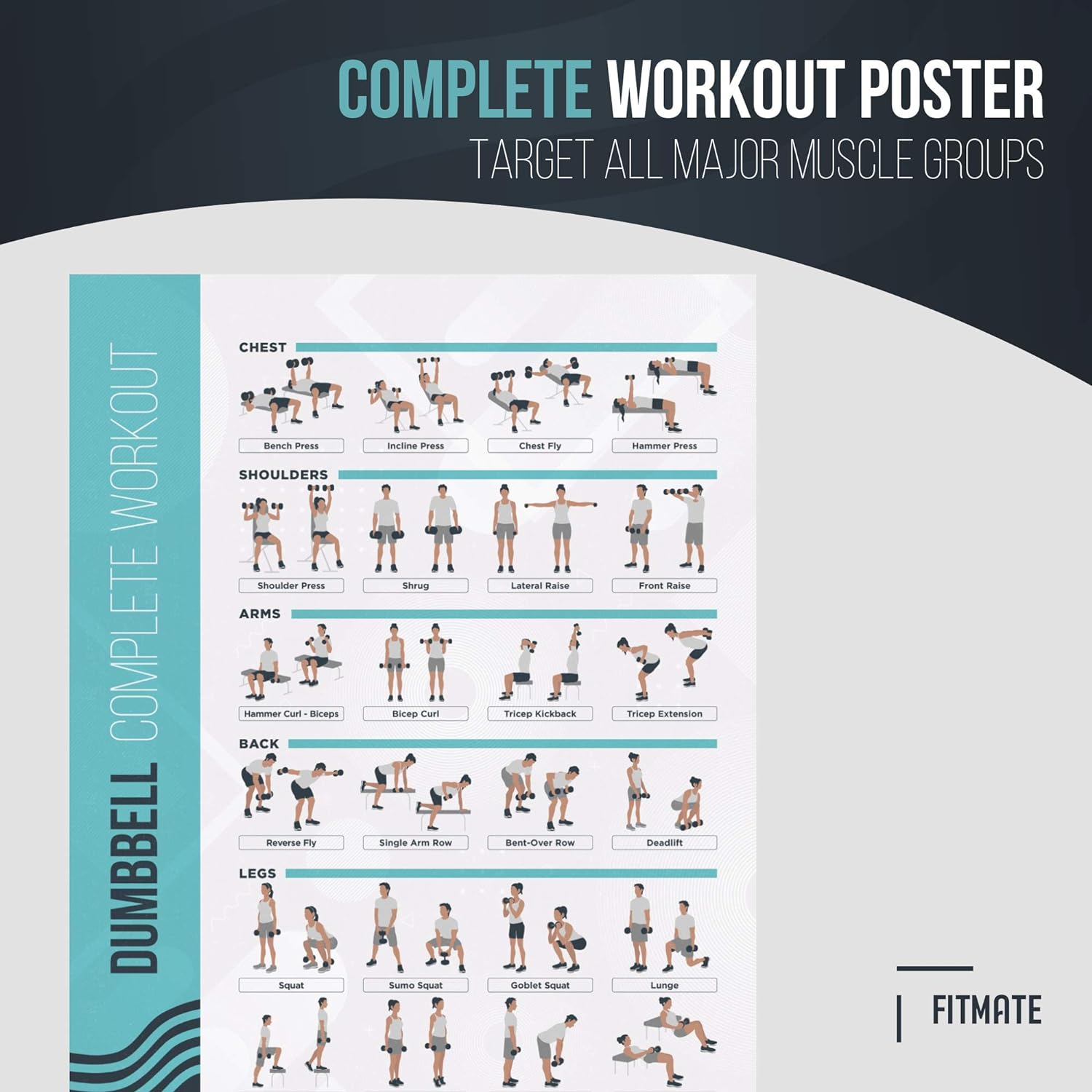 Fitmate Dumbbell Workout Exercise Poster - Workout Routine with Free Weights, Home Gym Decor, Room Guide (16.5 X 25 Inch) image number 4