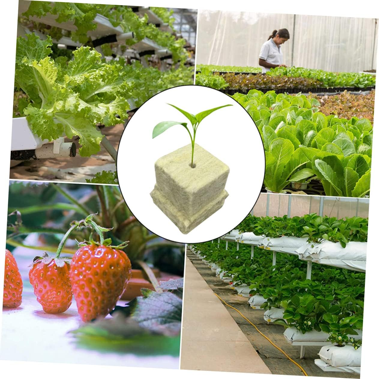 SUPVOX 200Pcs Garden Hydroponic Grow Starter Plugs Nutrient Rich Wool Cubes Easy to Plant Gardening Supplies image number 4