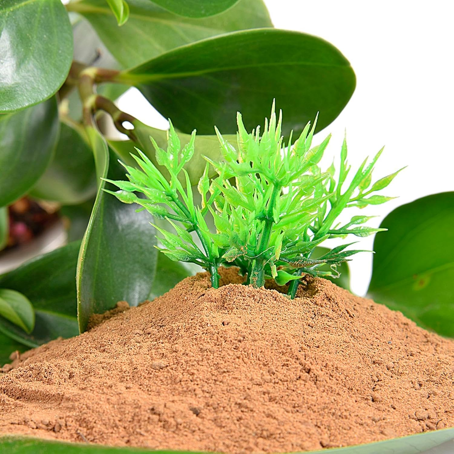 Aquatic Pond Soil | Natural Pond Mud with Nutrients | Plant Growing Media for Water Lilies, Gardening Supplies