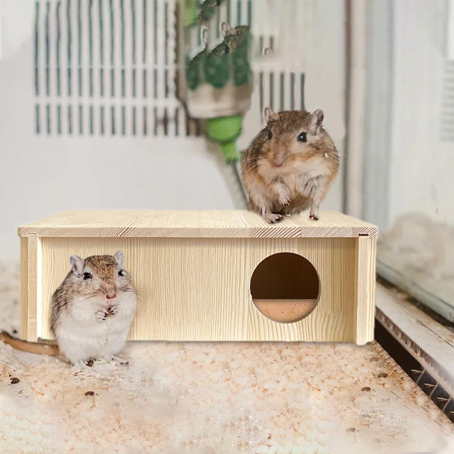 Multi-Chamber Hamster House Maze,Rectangle 2-Room Large Hamster Multi Chamber | Small Pets Woodland House for Dwarf Hamsters, Syrian Hamsters, Gerbils, Hedgehogs, Mice image number 6