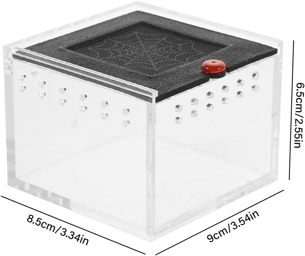 AIMALL Acrylic Reptile Climbing Pet Enclosure, Transparent Spider and Lizard Breeding Terrarium, Lightweight and Durable Design - Transparent image number 2