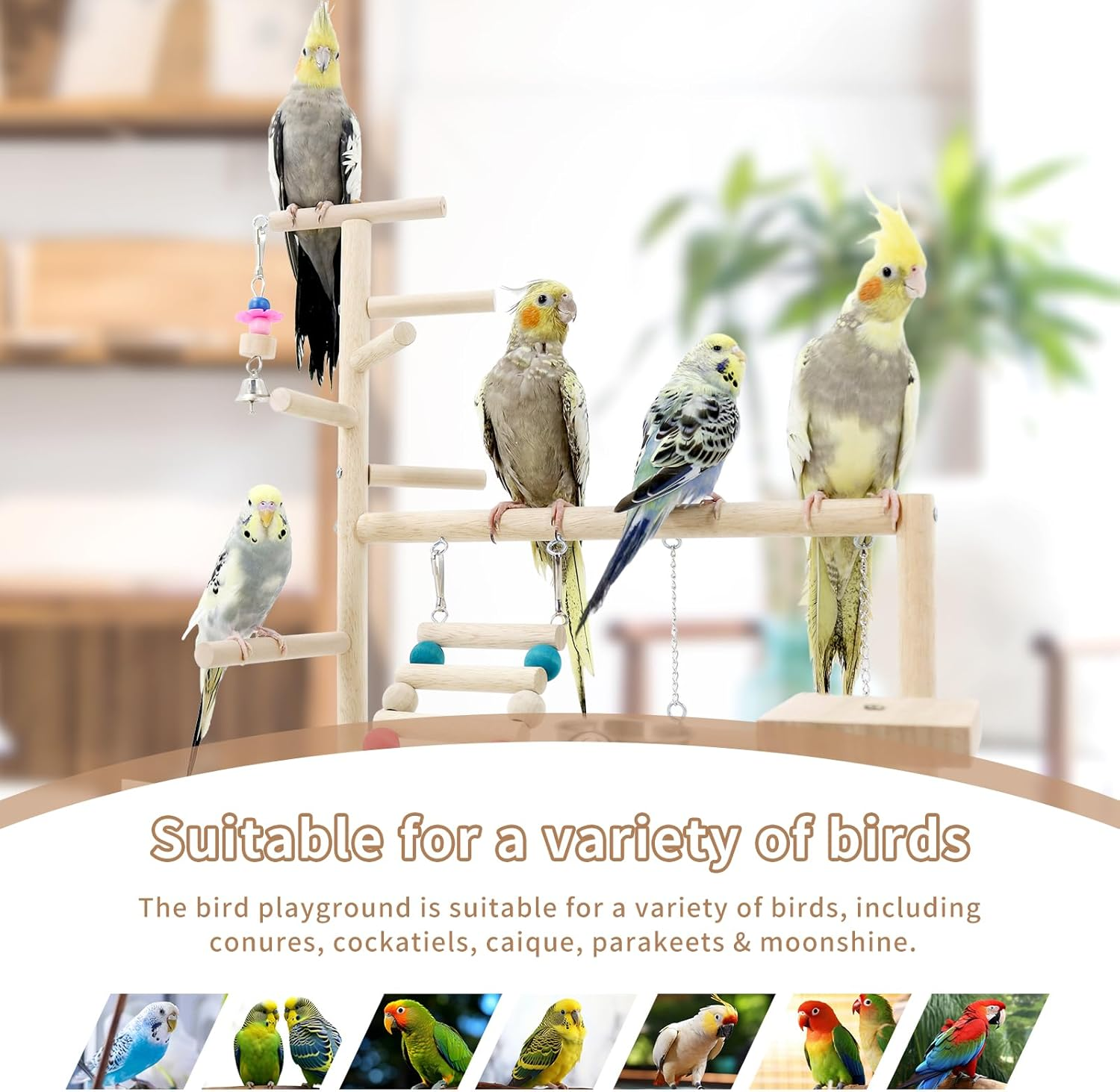 Bird Playstand Cockatiels Playground Perch Stand Parrot Play Gym for Parakeets Conures Parrotlets and Finches, Easy Assembly Includes Colorful Toys and Perch 1Ladder with Platform image number 5