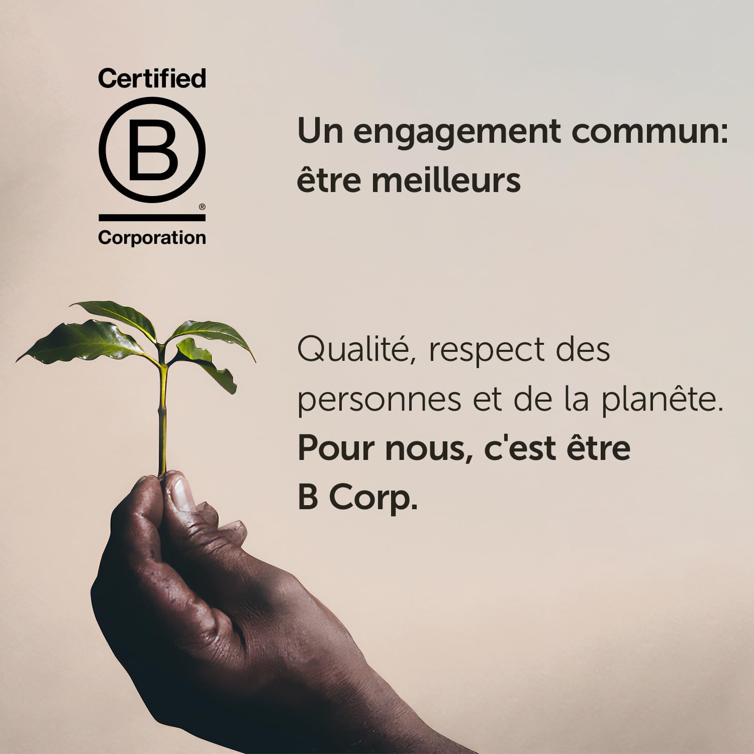 Illy Classico Coffee Beans 250 G (Pack of 6) image number 1