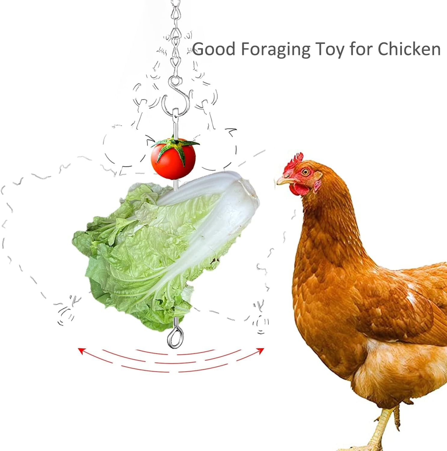 Chicken Vegetable Hanging Feeder Toy for Hens Pet Chicken Veggies Skewer Fruit Holder for Hens Large Bird image number 4
