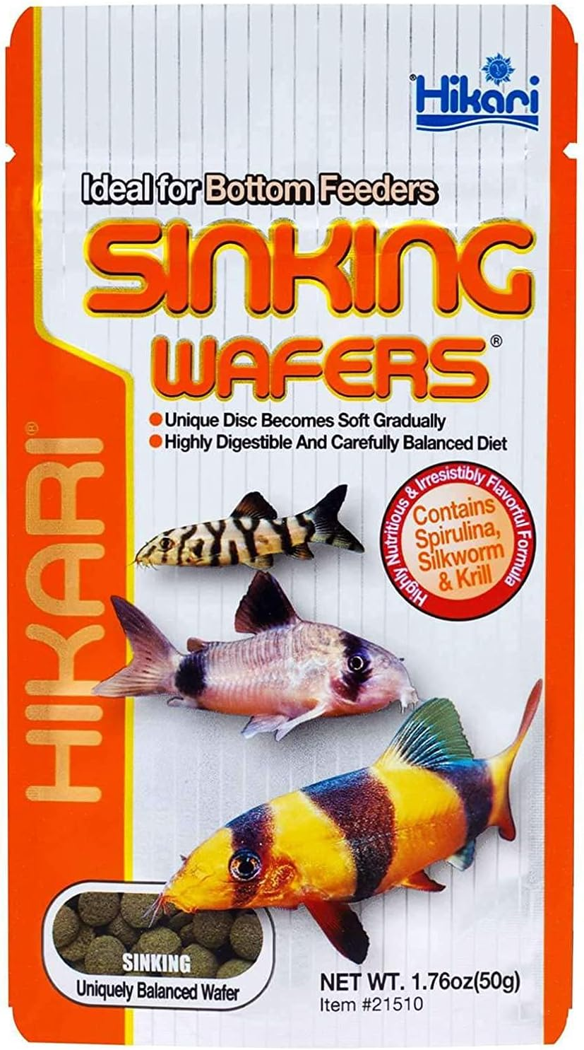 Hikari Sinking Wafers 50G Protein Rich Premium Fish Food Made in Japan