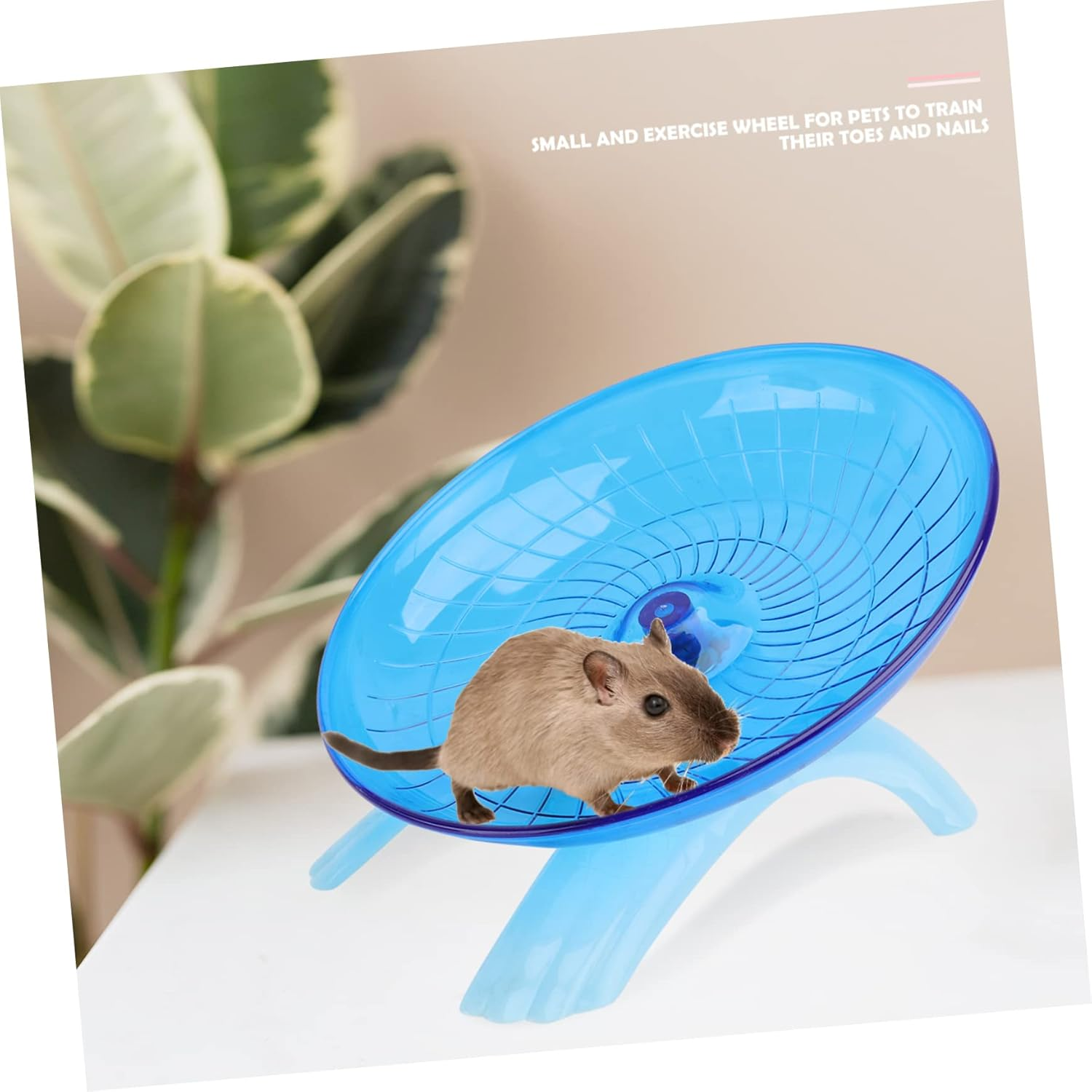 TEHAUX Hamster Hedgehog Run Disc Exercise Wheel Pet Toy Non Run Disc for Small Pets Guinea Pig Toys - Blue image number 2