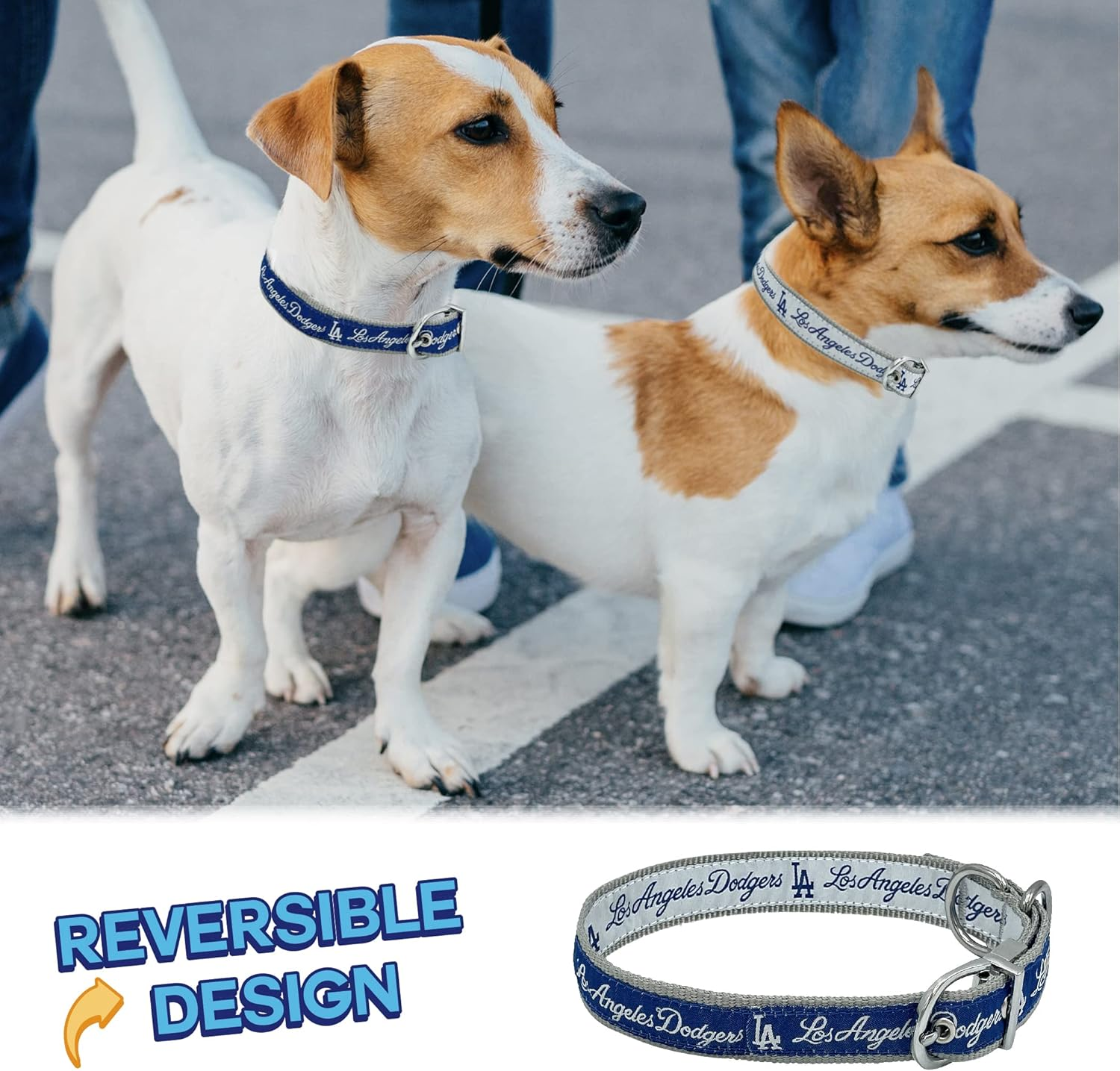 Pets First Los Angeles Dodgers Reversible MLB Dog Collar. Premium Home & Away 2-Sided Pet Collar Adjustable with Metal Buckle. Your Favorite Baseball Team a Unique Design on Each Side, LAD-3280-MD, M image number 1