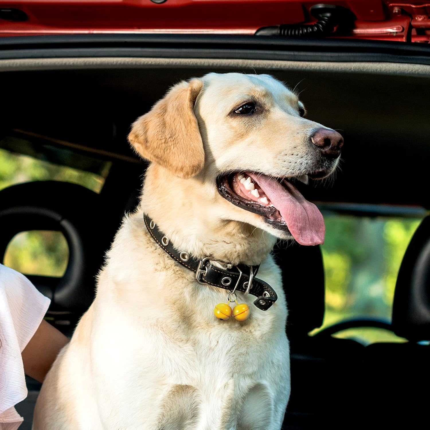 Hotop 32 Pcs Cat Dog Collar Bells Colorful Pet Bell Dog Collar Charm Bells with 16 round Key Rings 4 Buckles Pet Necklace Pendant Accessories for Puppy Kitten Potty Training Christmas Decoration, image number 4