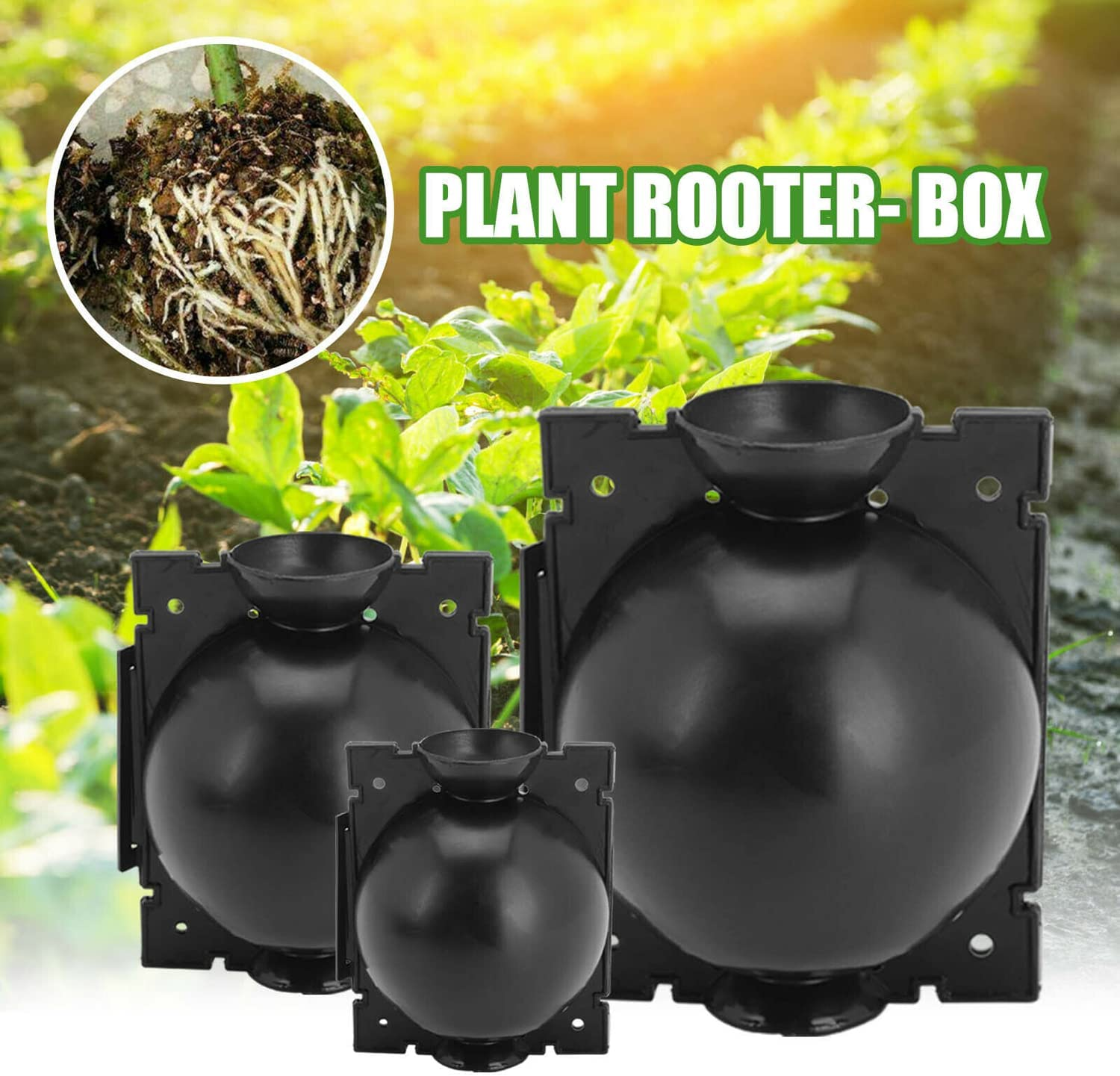 10Pcs Plant Rooting Device High Pressure Propagation Ball Root Grow Grafting Box Rooter Box S/M/L (M) image number 4