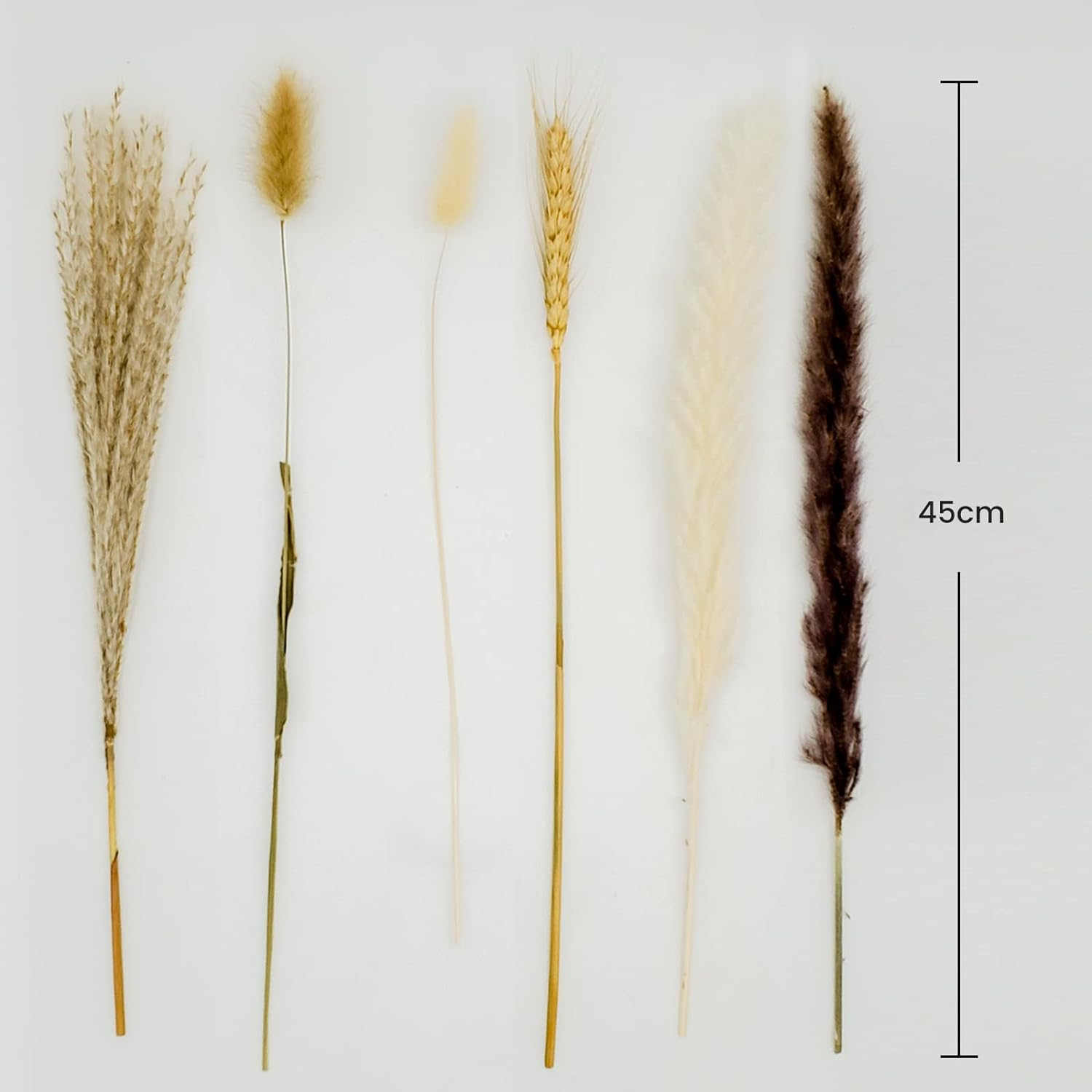 100 Pcs Pampas Grass - Natural Pampas & Reed Grass & Bunny Tails & Dried Wheat for Dried Flowers Arrangements Boho Wedding Home Decor image number 2