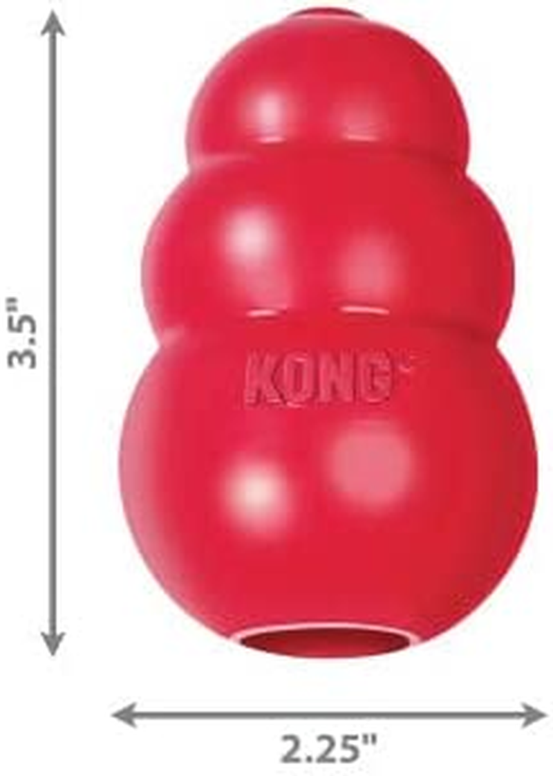 KONG - Classic Dog Toy - Durable Natural Rubber - Fun to Chew, Chase and Fetch - for Medium Dogs image number 6