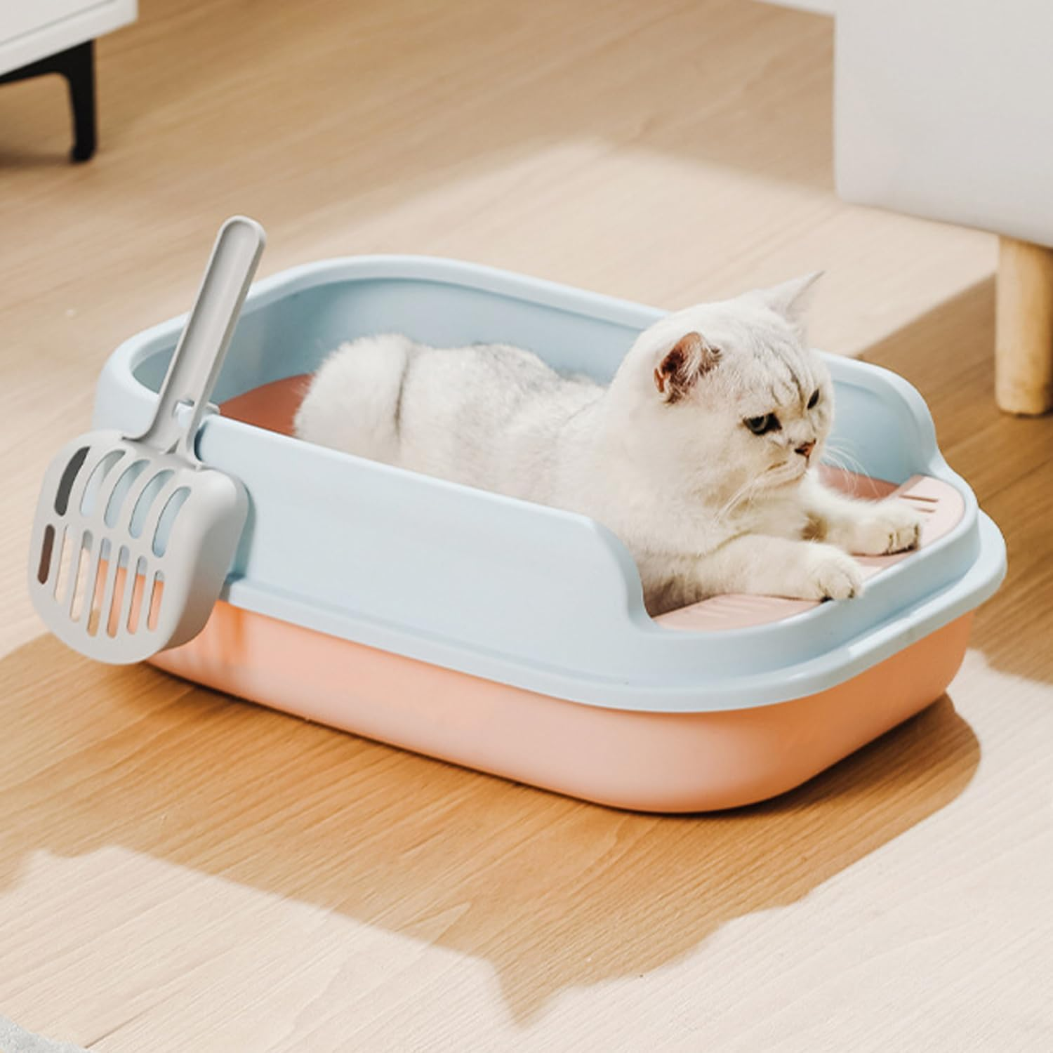 ERHAOG Cat Litter Box, 52 * 36 * 16 CM Open Top Litter Box for Big Cats and Multi-Cat Households, Scatter Shield, Easy to Clean