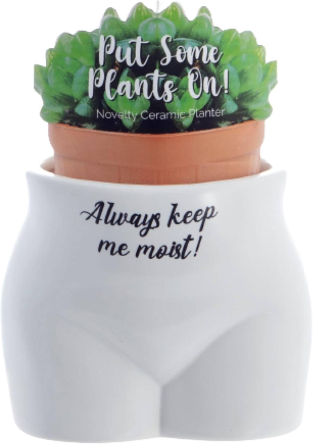 Boxer Gifts Always Keep Me Moist' Novelty Body Shaped Plant Pot | Funny Rude Home D&eacute;cor Gift, Ceramic, White,Black, One Size image number 3