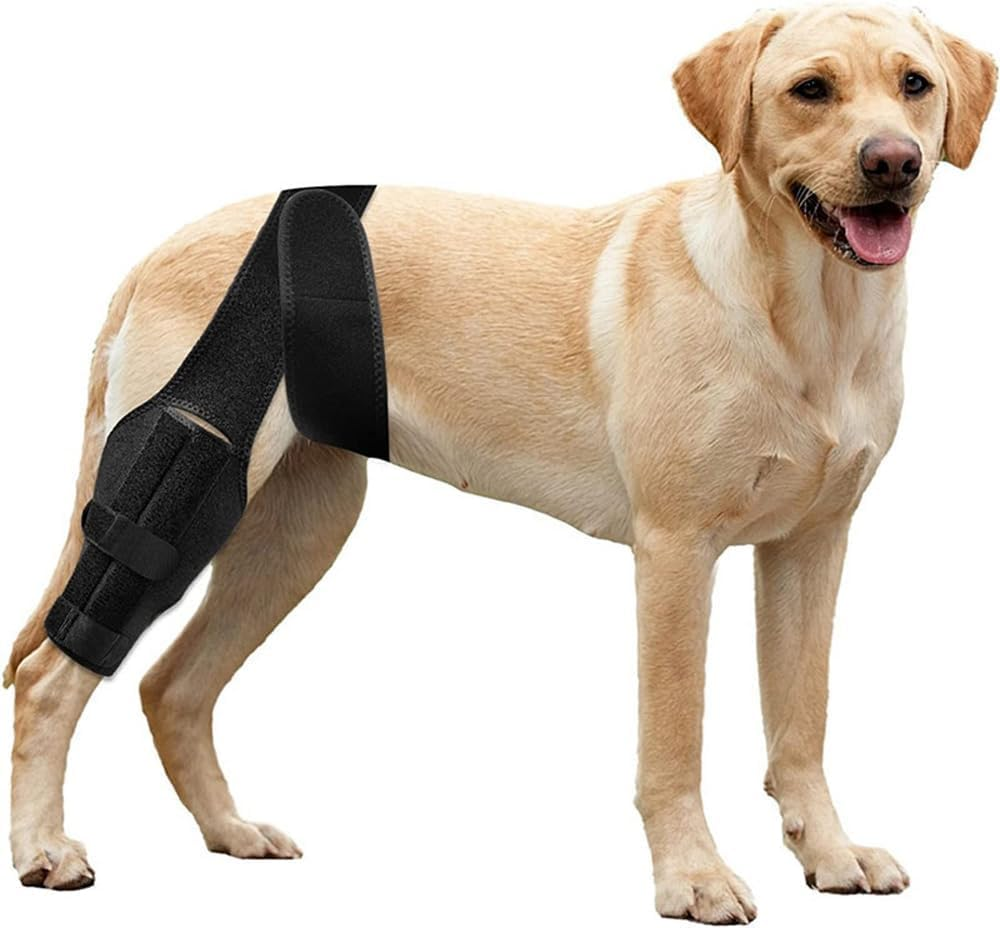 Aimakodo Dog ACL Brace Hind Leg, Dog Knee Brace for Front Torn and Back Hind Rear Leg ACL Tear,Hip Dysplasia, Dog Arthritis and Luxating Patella, Adjustable and Comfortable (Medium) image number 1