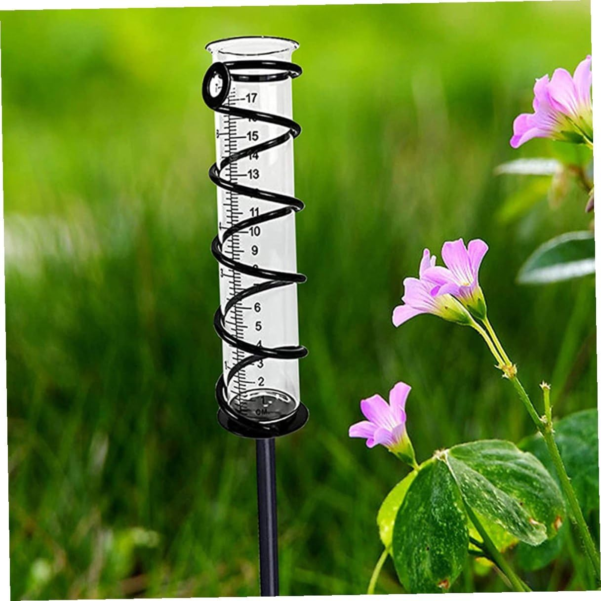 4Pcs Transparent Rain Measuring Tubes Glass Rain Gauge Outdoor Water for Garden Lawn Patio for Plant Moisture Monitoring image number 4